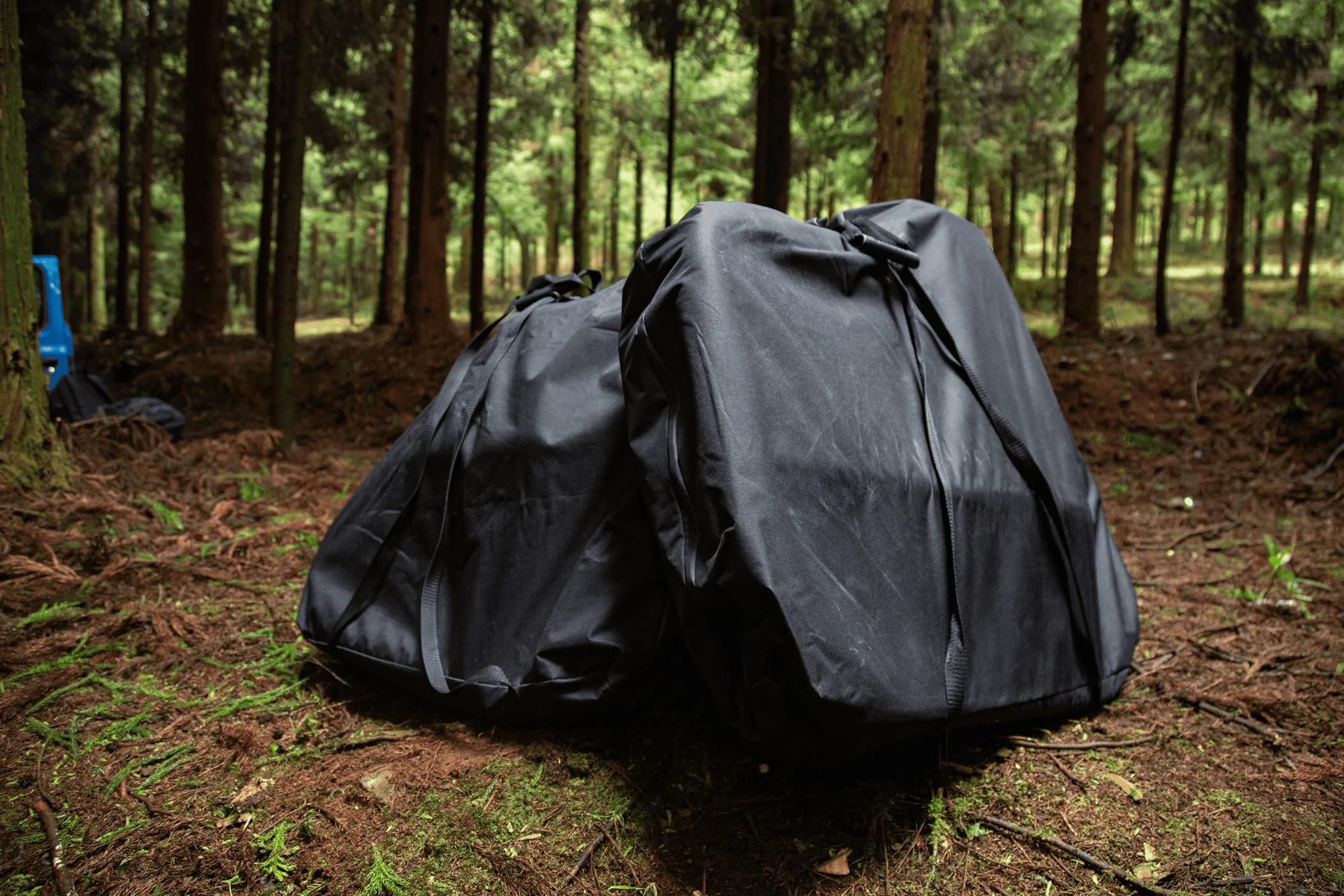 2E8A4704.webp