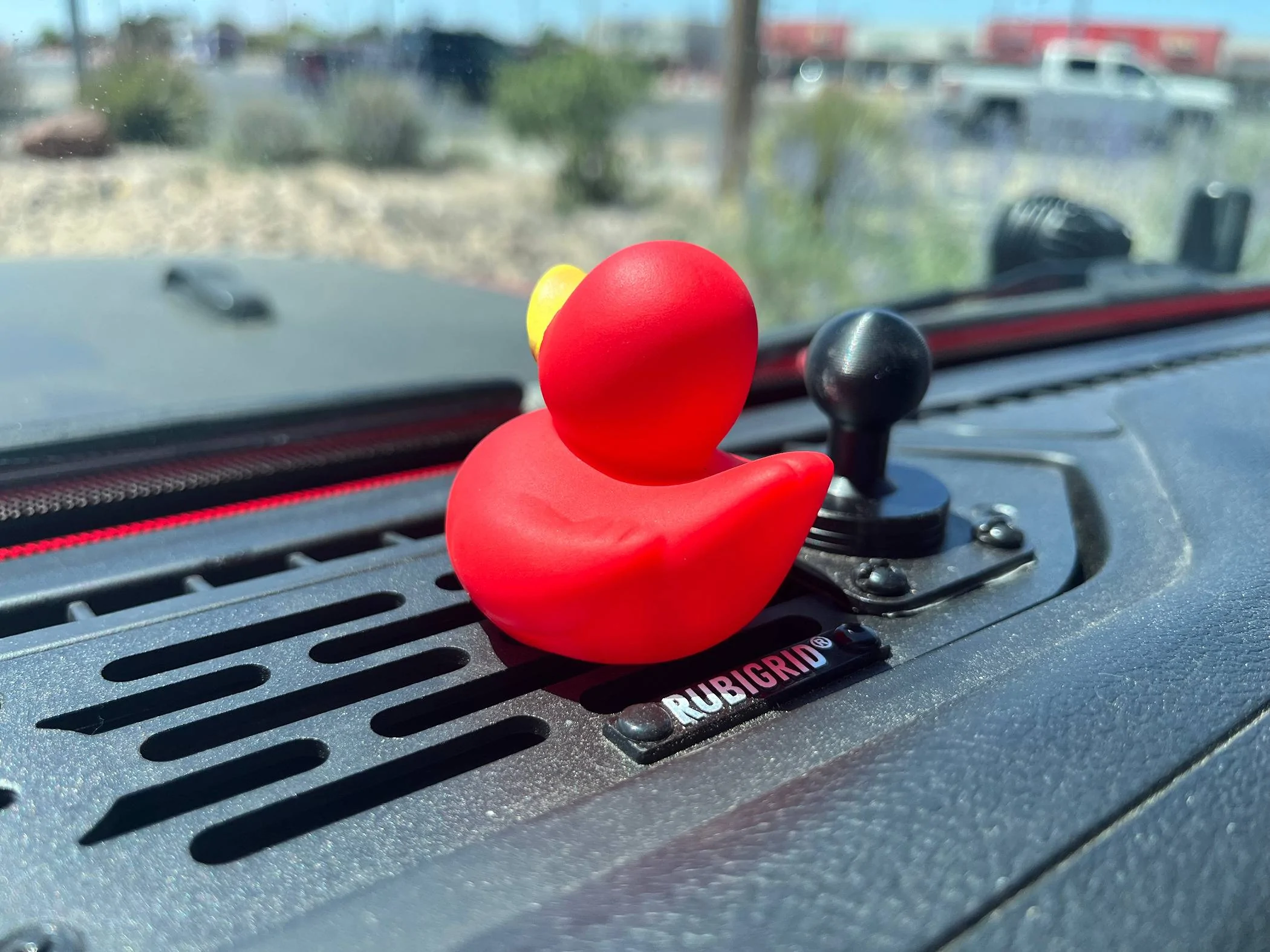Jeep Gladiator Show me your DUCKS ! IMG_9873
