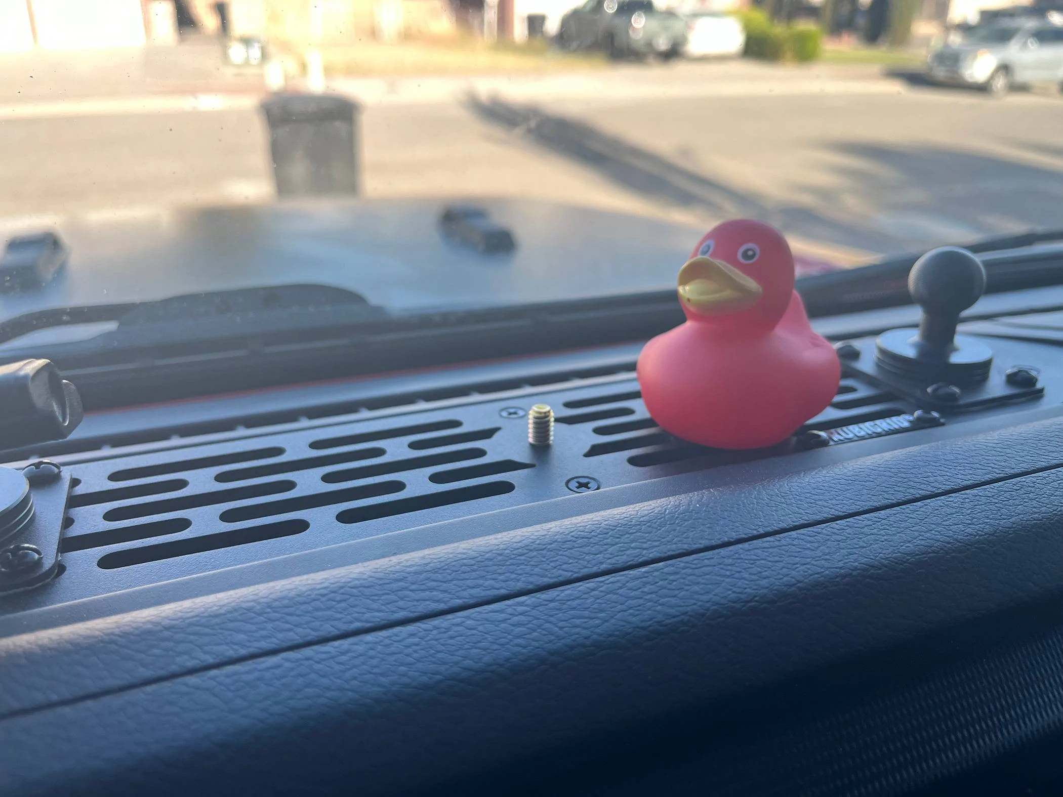 Jeep Gladiator Show me your DUCKS ! IMG_9874