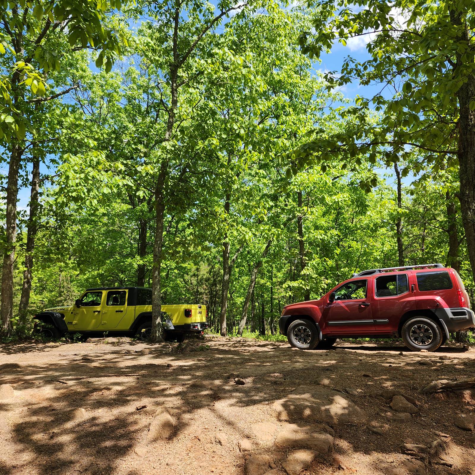 Jeep Gladiator What did you do WITH your Gladiator today? 1000009757