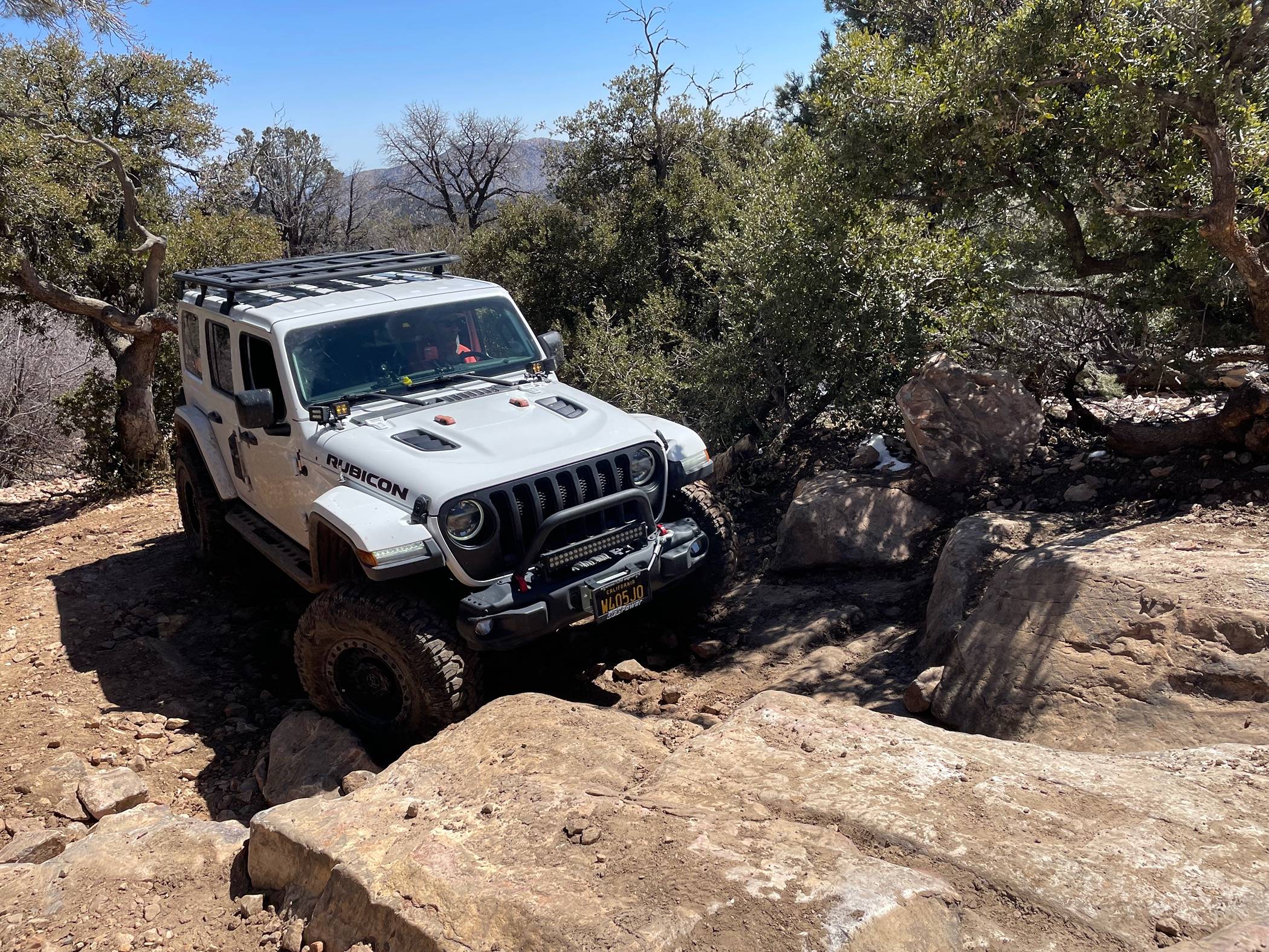 Jeep Gladiator AEV 370 JTRD IMG_8880