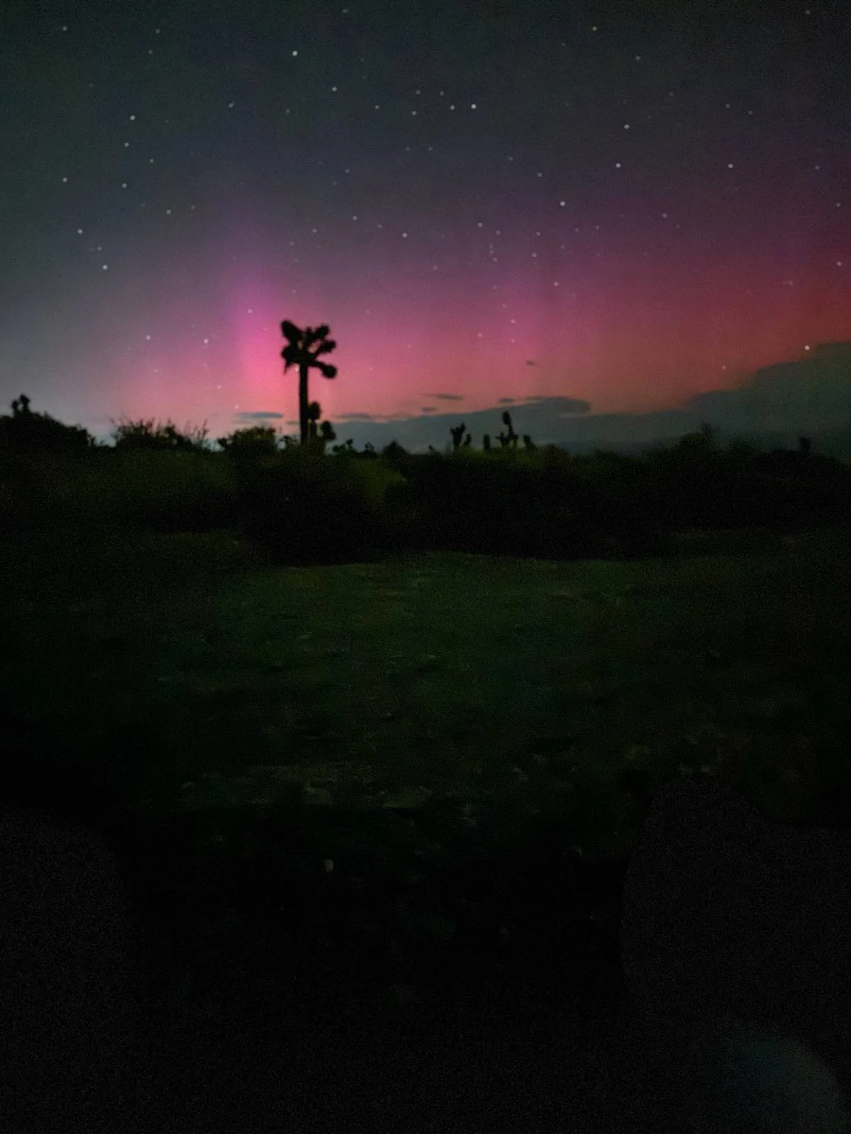 Jeep Gladiator Aurora Borealis 5-10-24. Post Yours 1715573913101-n