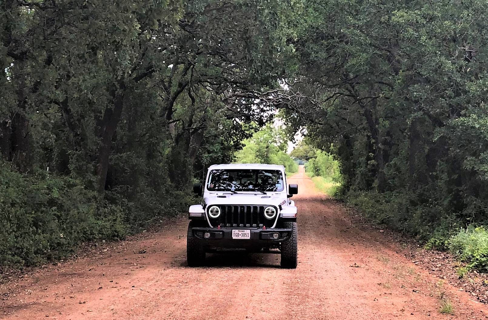 Jeep Gladiator Gladiator Glamour Shots IMG_2460 (2).JPG