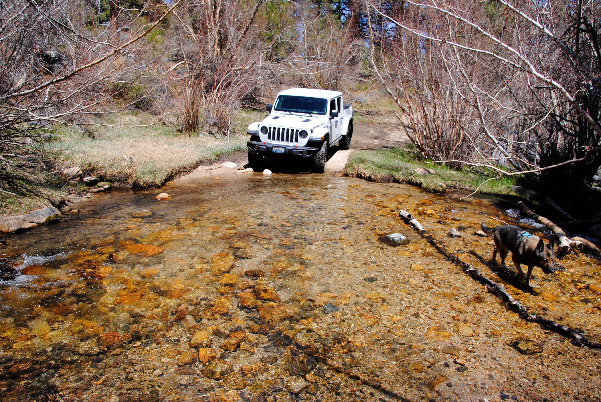 Jeep Gladiator What did you do WITH your Gladiator today? _DSC0081.JPG