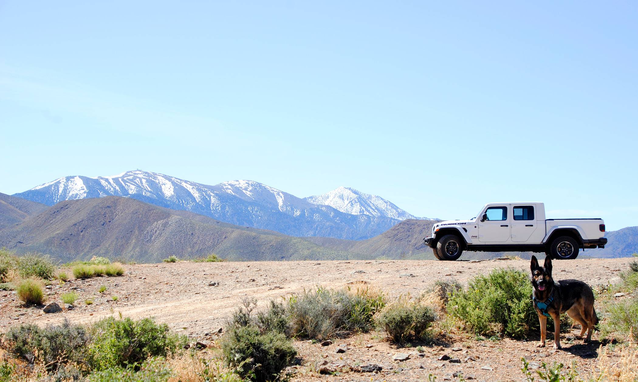 Jeep Gladiator What did you do WITH your Gladiator today? _DSC0053.JPG