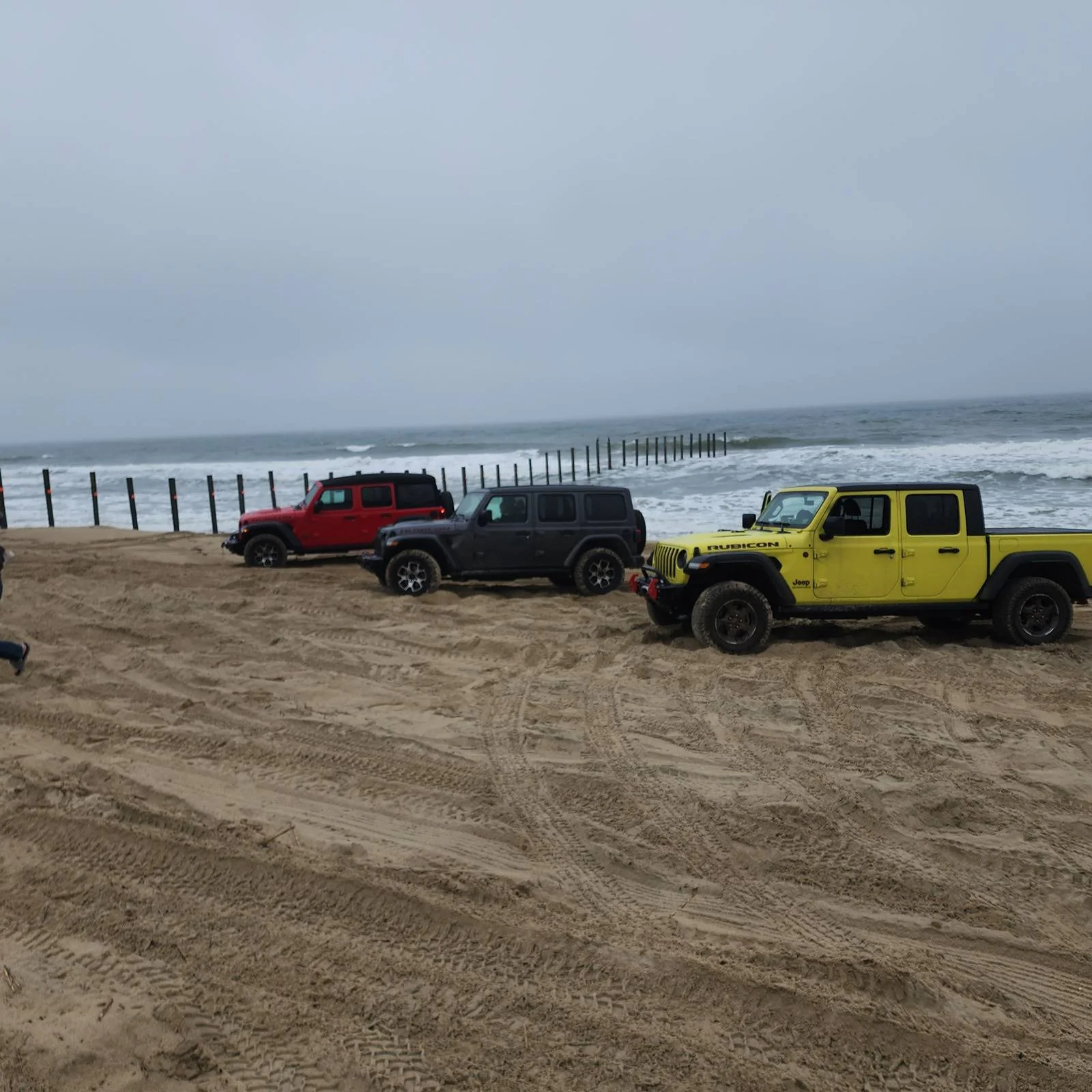 Jeep Gladiator What did you do WITH your Gladiator today? 1000009863