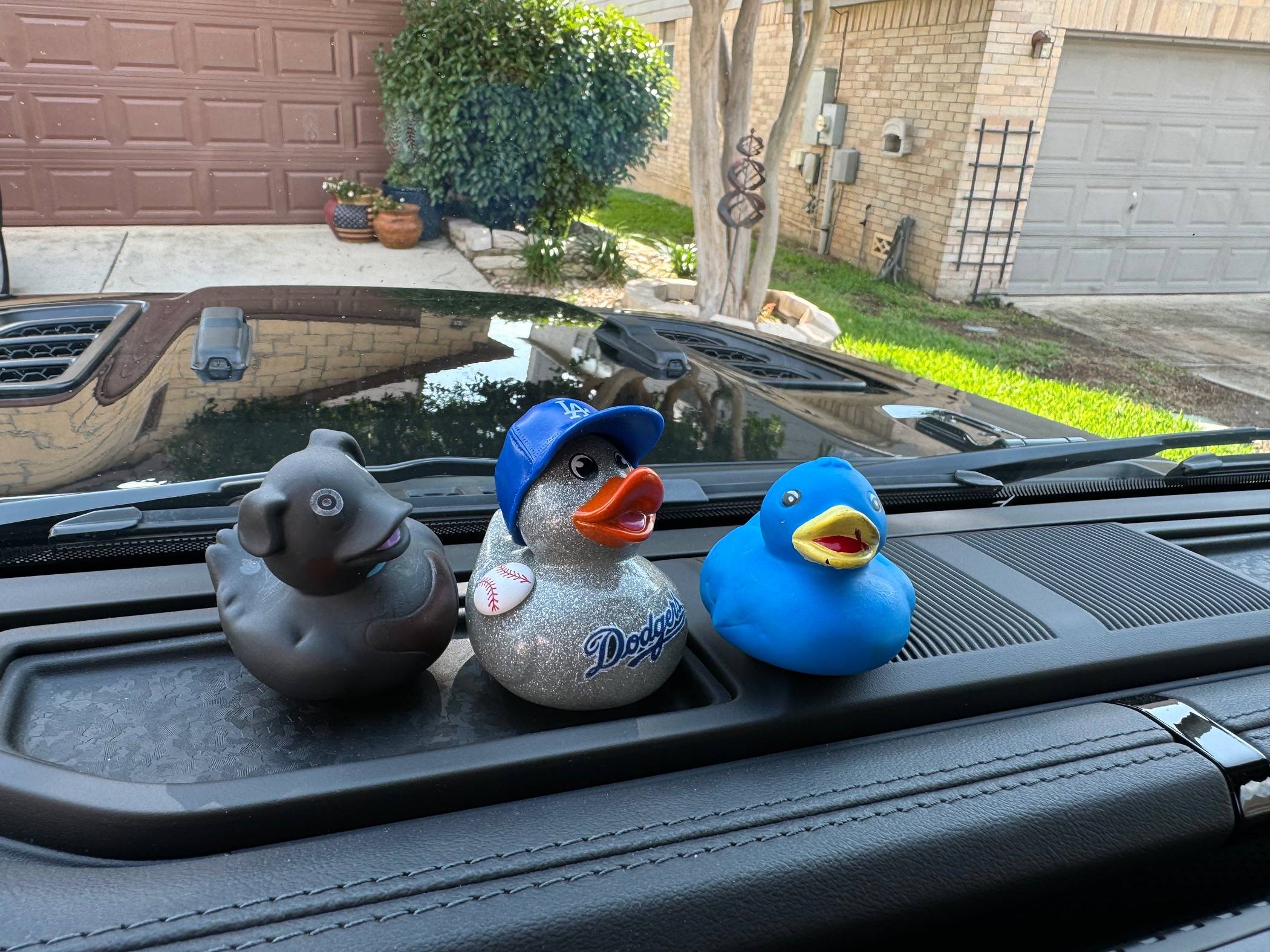 Jeep Gladiator Show me your DUCKS ! IMG_1483