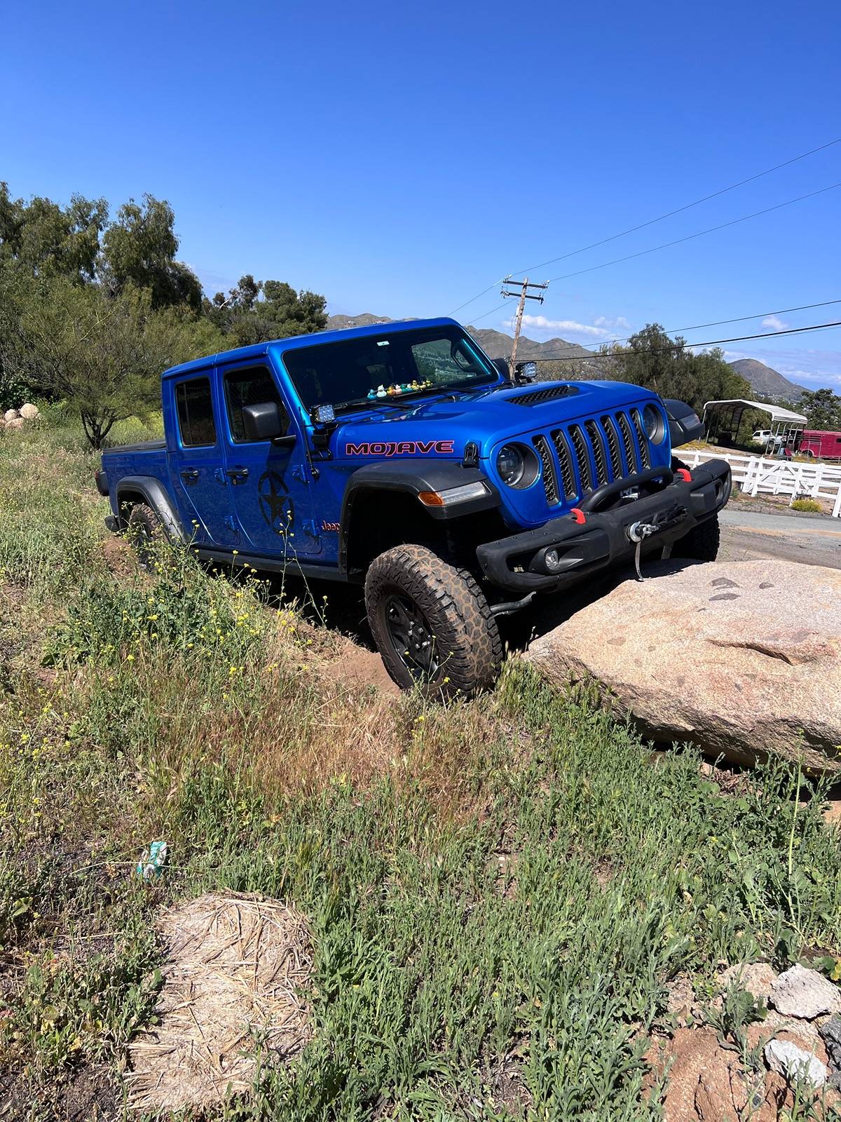 Jeep Gladiator Show me your DUCKS ! IMG_1646