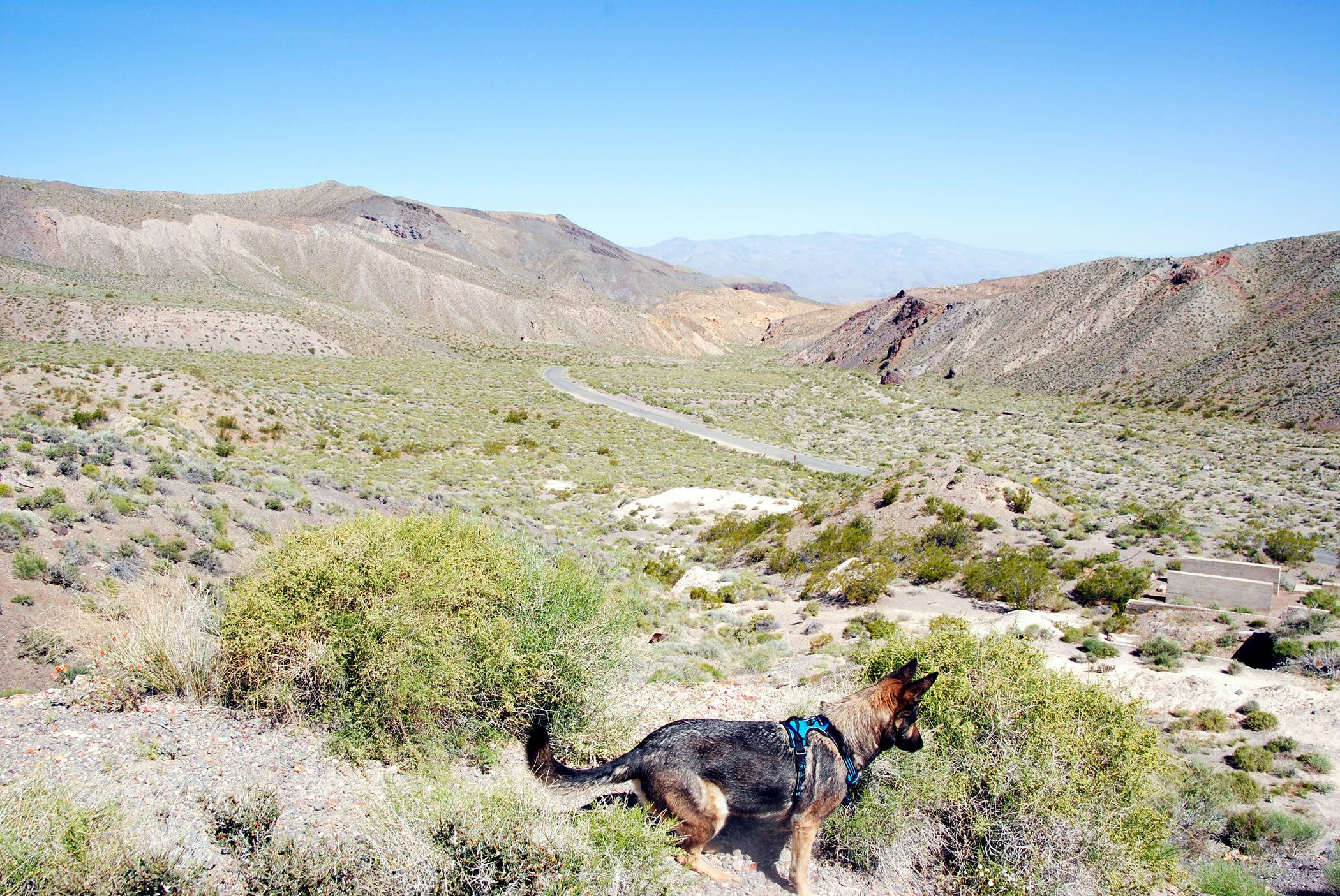 Jeep Gladiator Road trip to Death Valley and Eastern Sierras _DSC0039.JPG