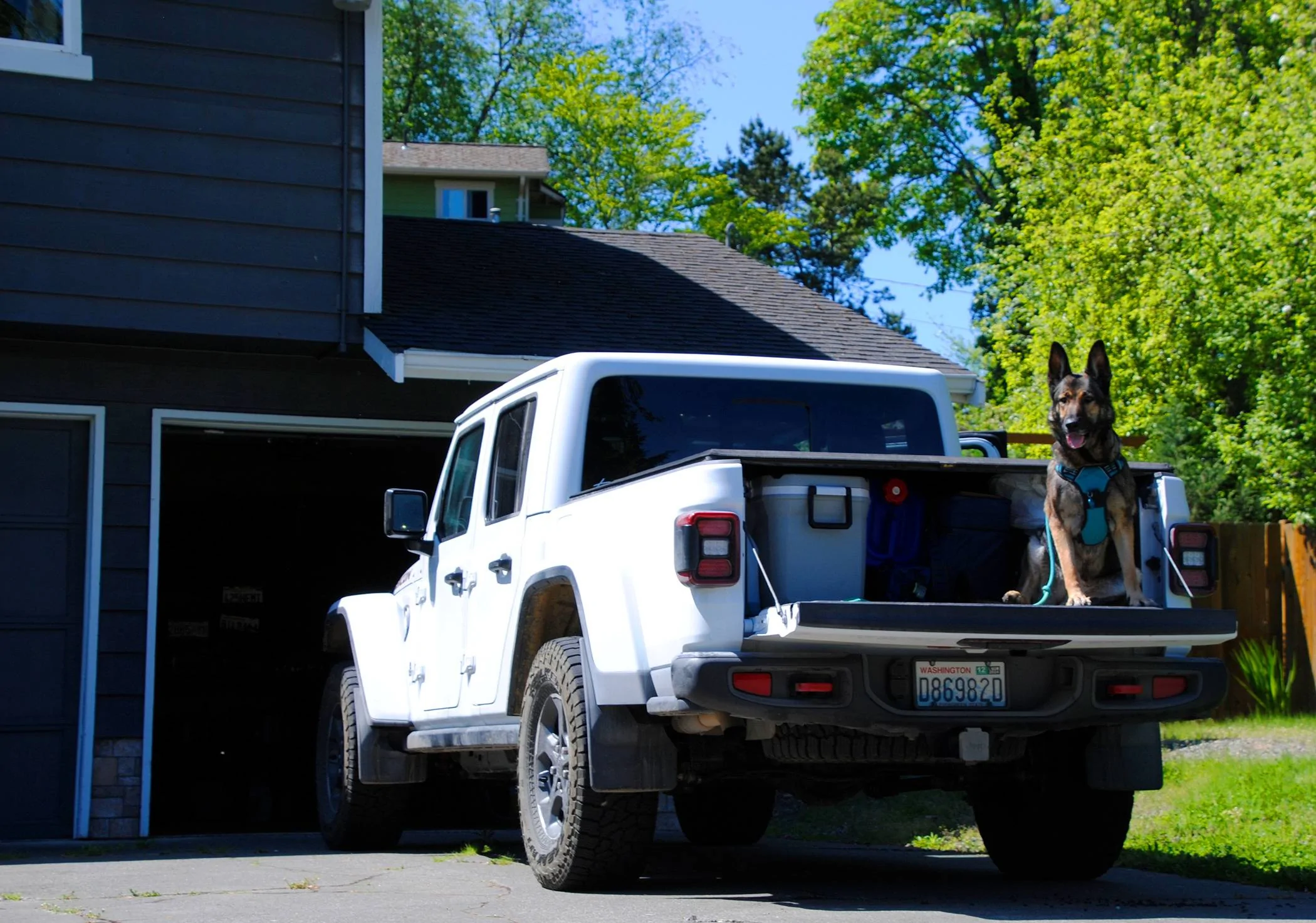 Jeep Gladiator Tushy Tuesday!! Let's see those Gladiator Rear Ends! _DSC0017
