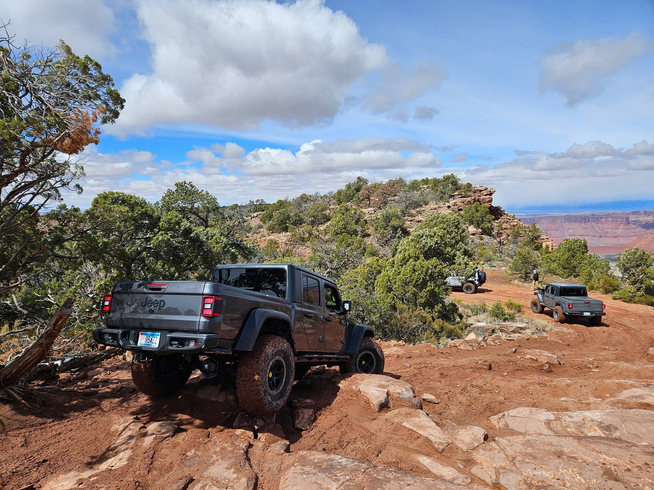 Jeep Gladiator Tushy Tuesday!! Let's see those Gladiator Rear Ends! 20240325_132426