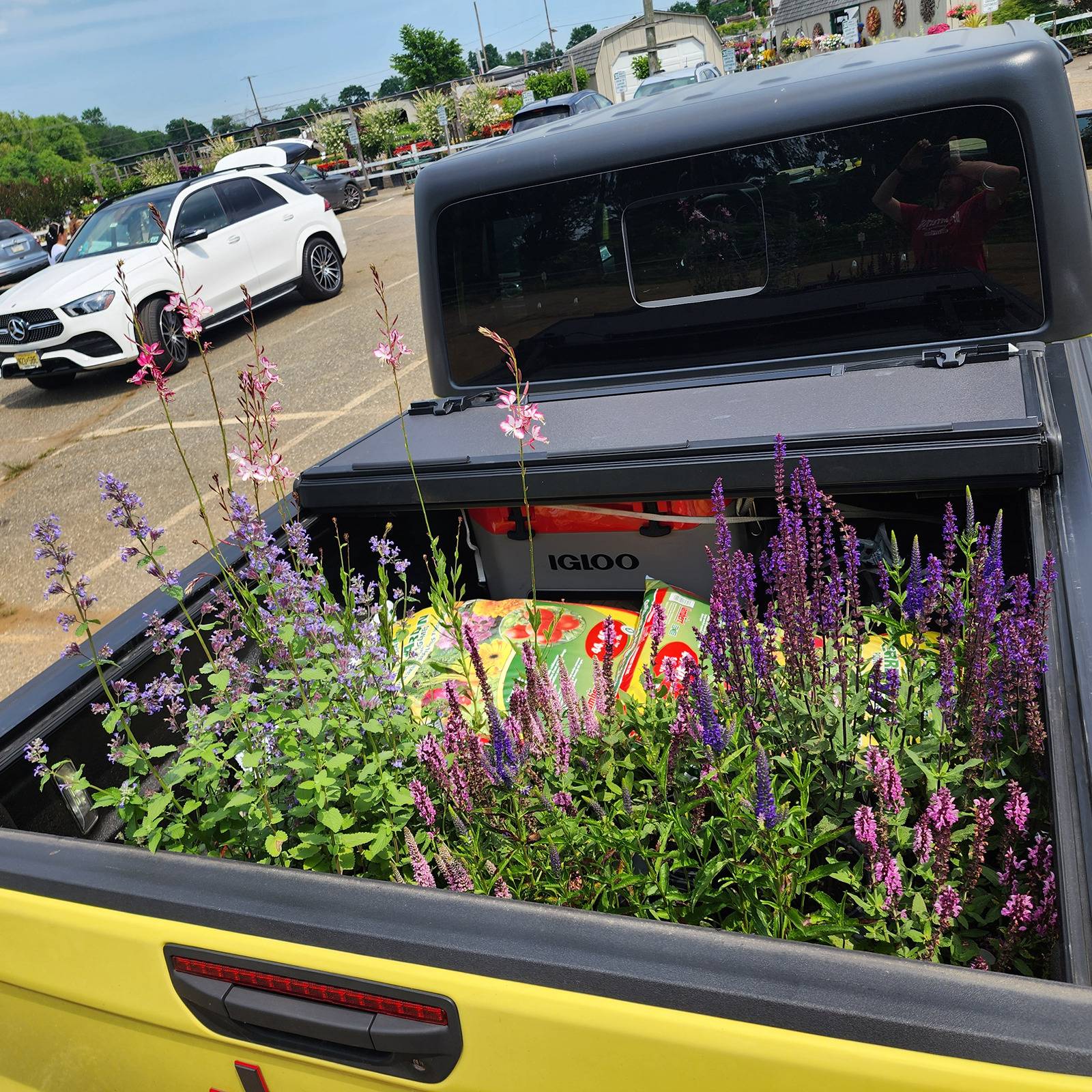 Jeep Gladiator What did you HAUL in your JT today? 1000010065