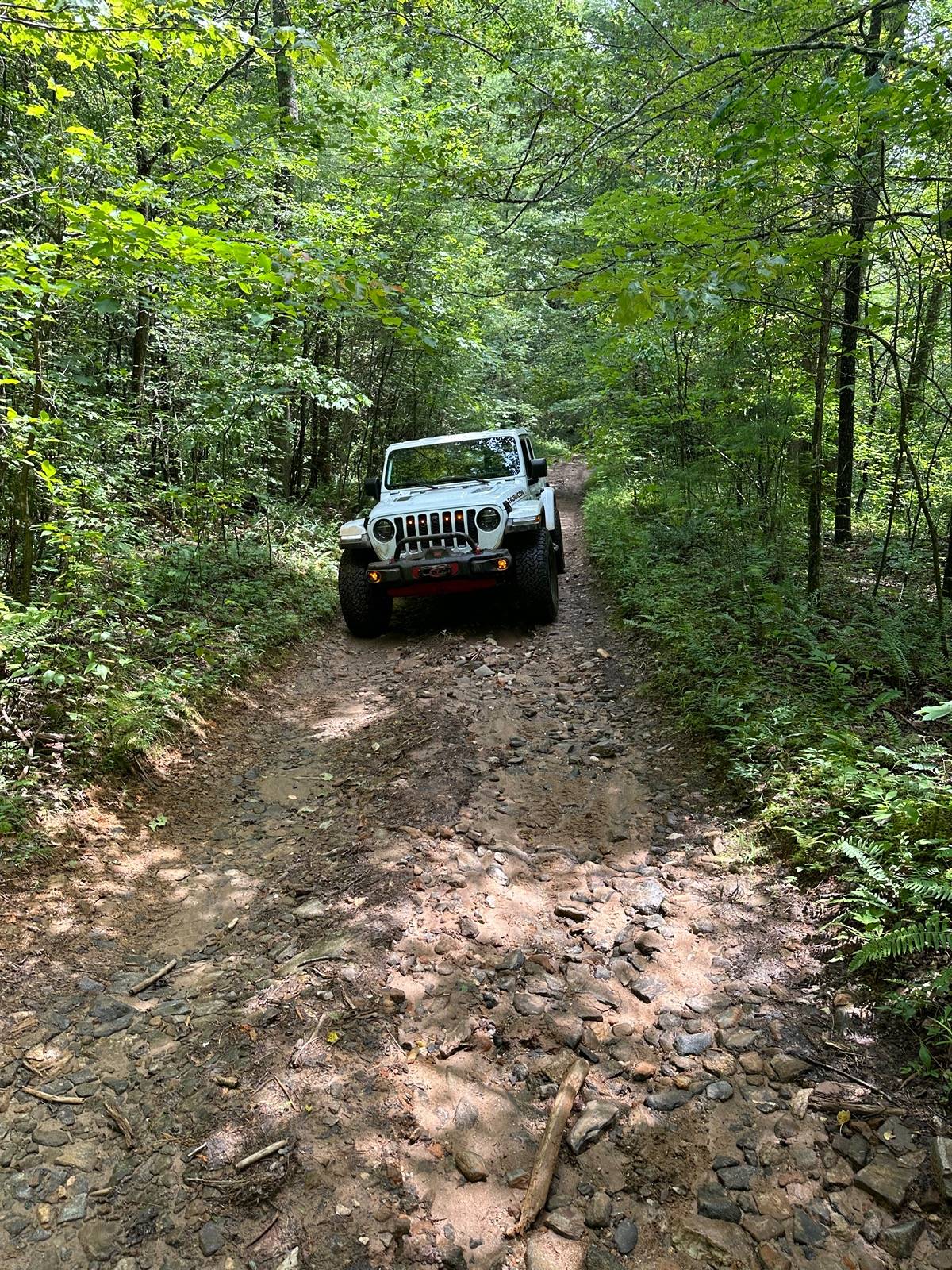 Jeep Gladiator It's full-Throttle Thursday! Show us those action shots! IMG_1670