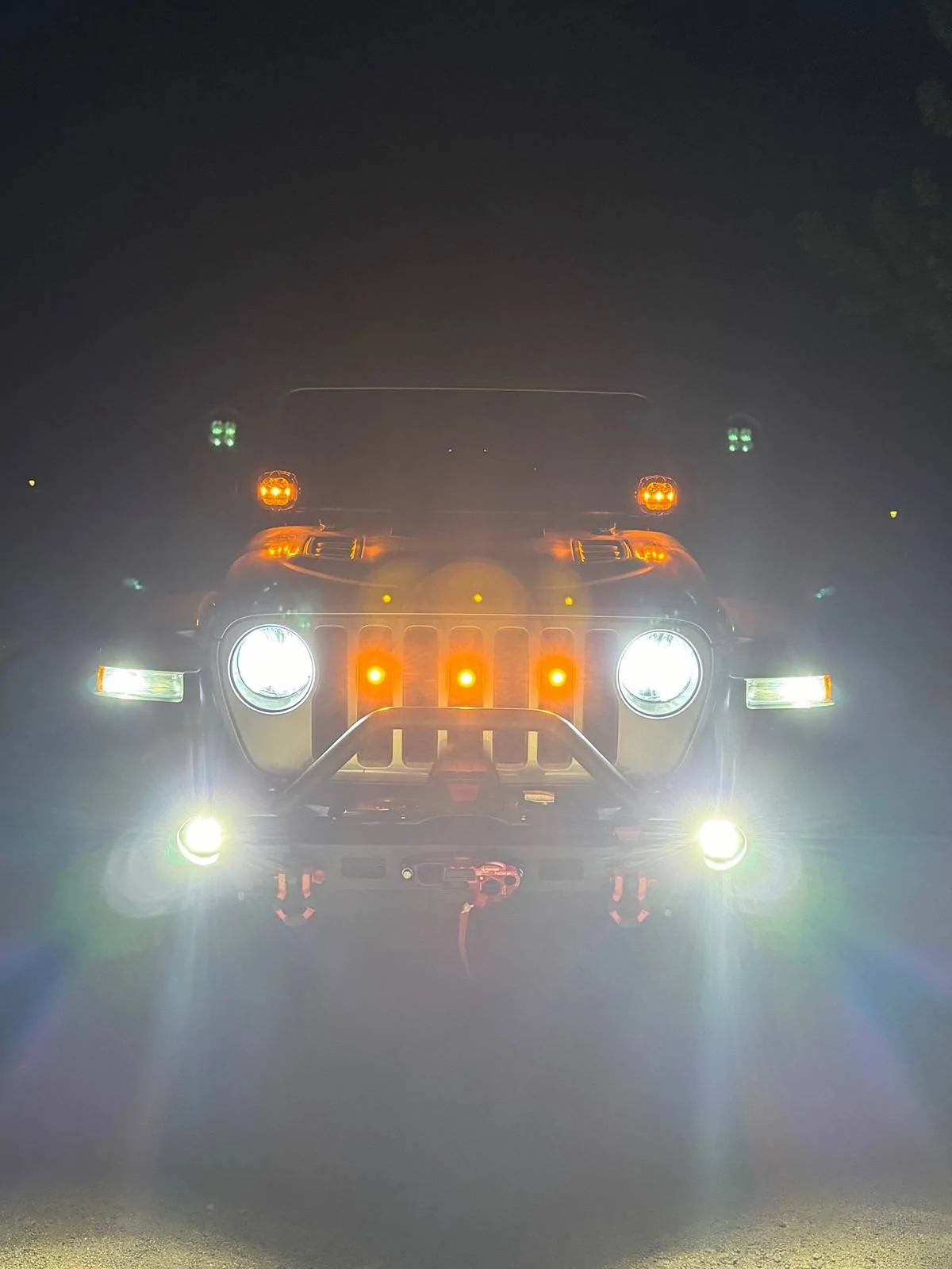 Jeep Gladiator What did you do TO your Gladiator today? [ADMIN WARNING: NO POLITICS, NO GUN TALK] IMG_0295