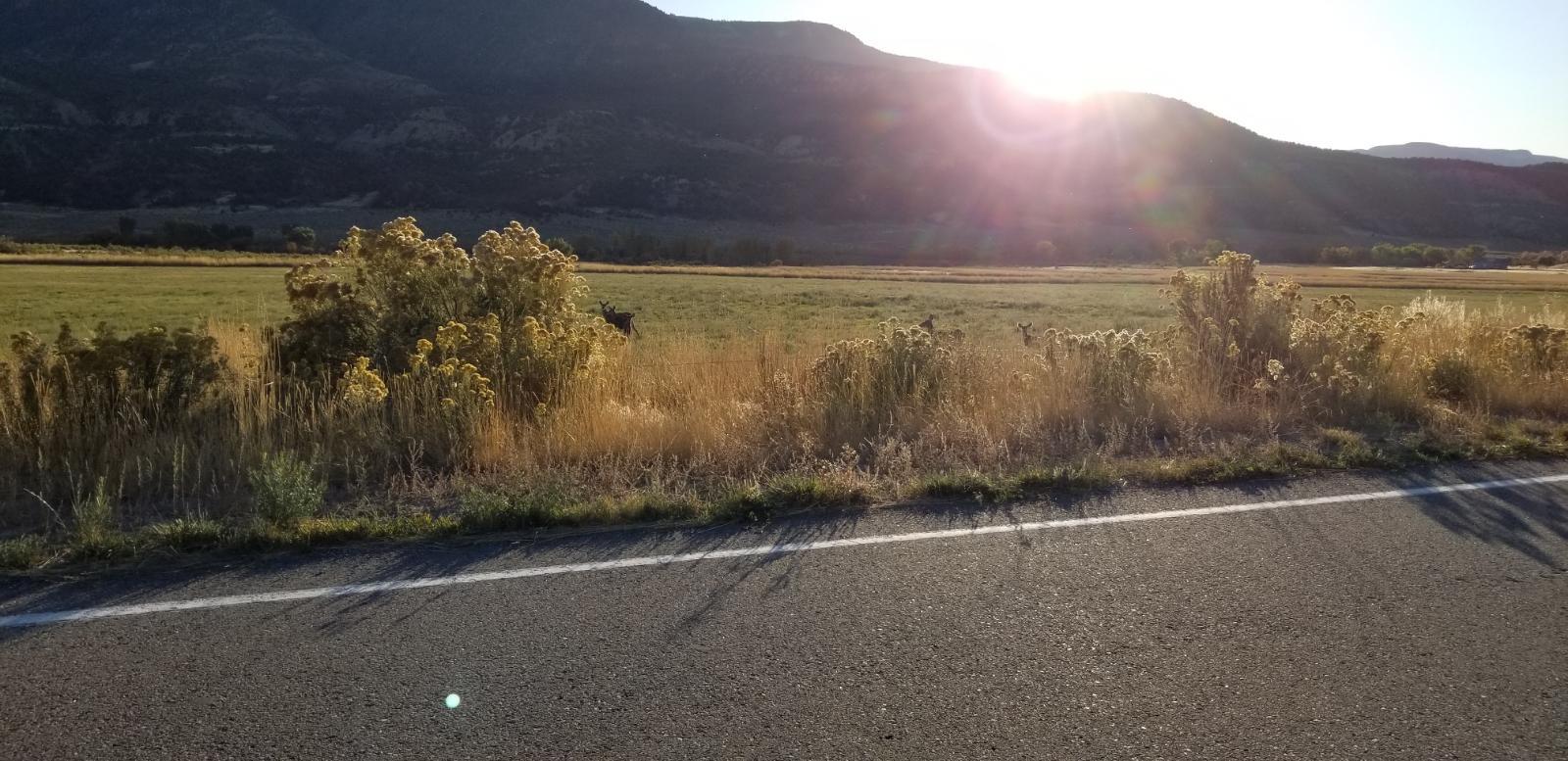 Jeep Gladiator Below Invoice Discussion @ Motor Inn of Spirit Lake Resized_20191012_174757