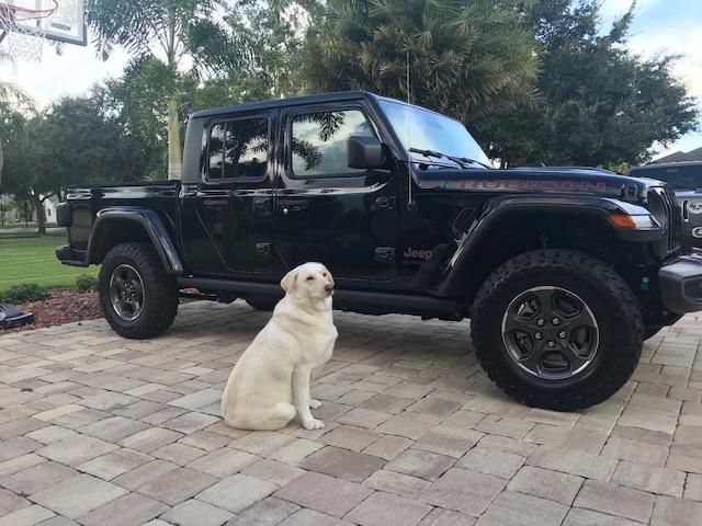 Jeep Gladiator Gladiator guards ...whose truck is it really? IMG_2746