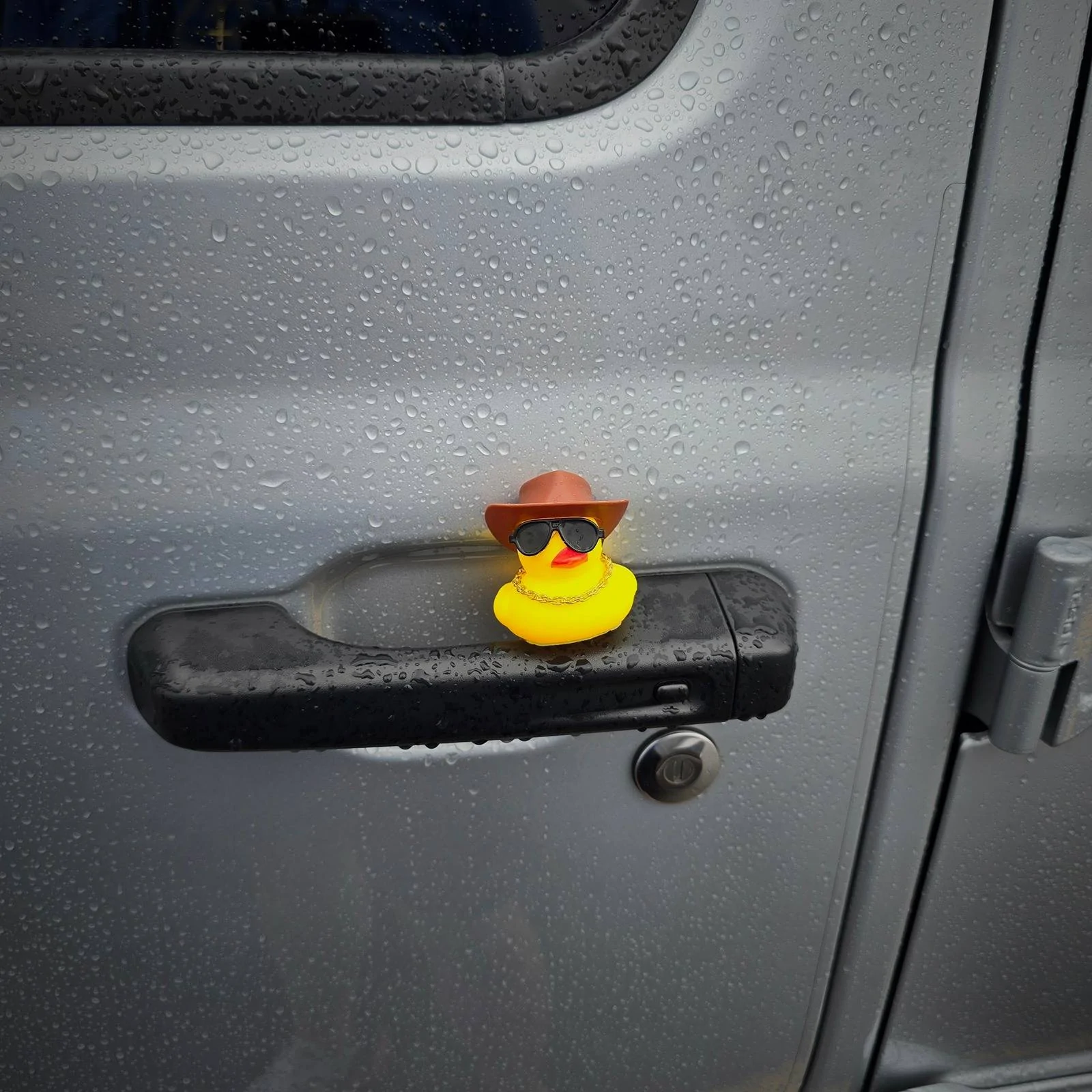 Jeep Gladiator It finally happened: I got ducked! 20240609_114132
