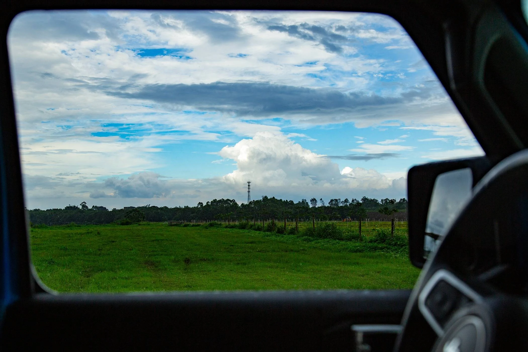 2E8A6060.webp