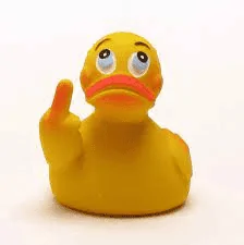 Jeep Gladiator It finally happened: I got ducked! FU Duck