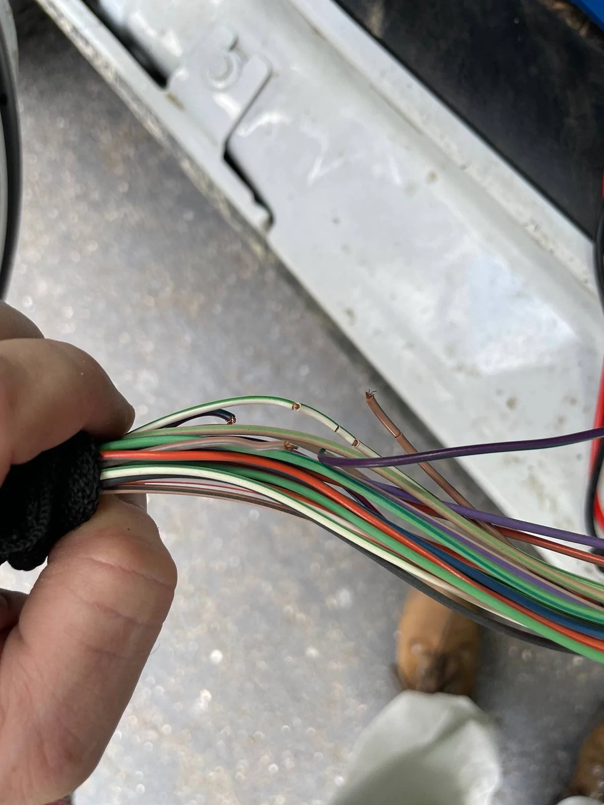 Jeep Gladiator Driver's Door Electrical Connection IMG_6303