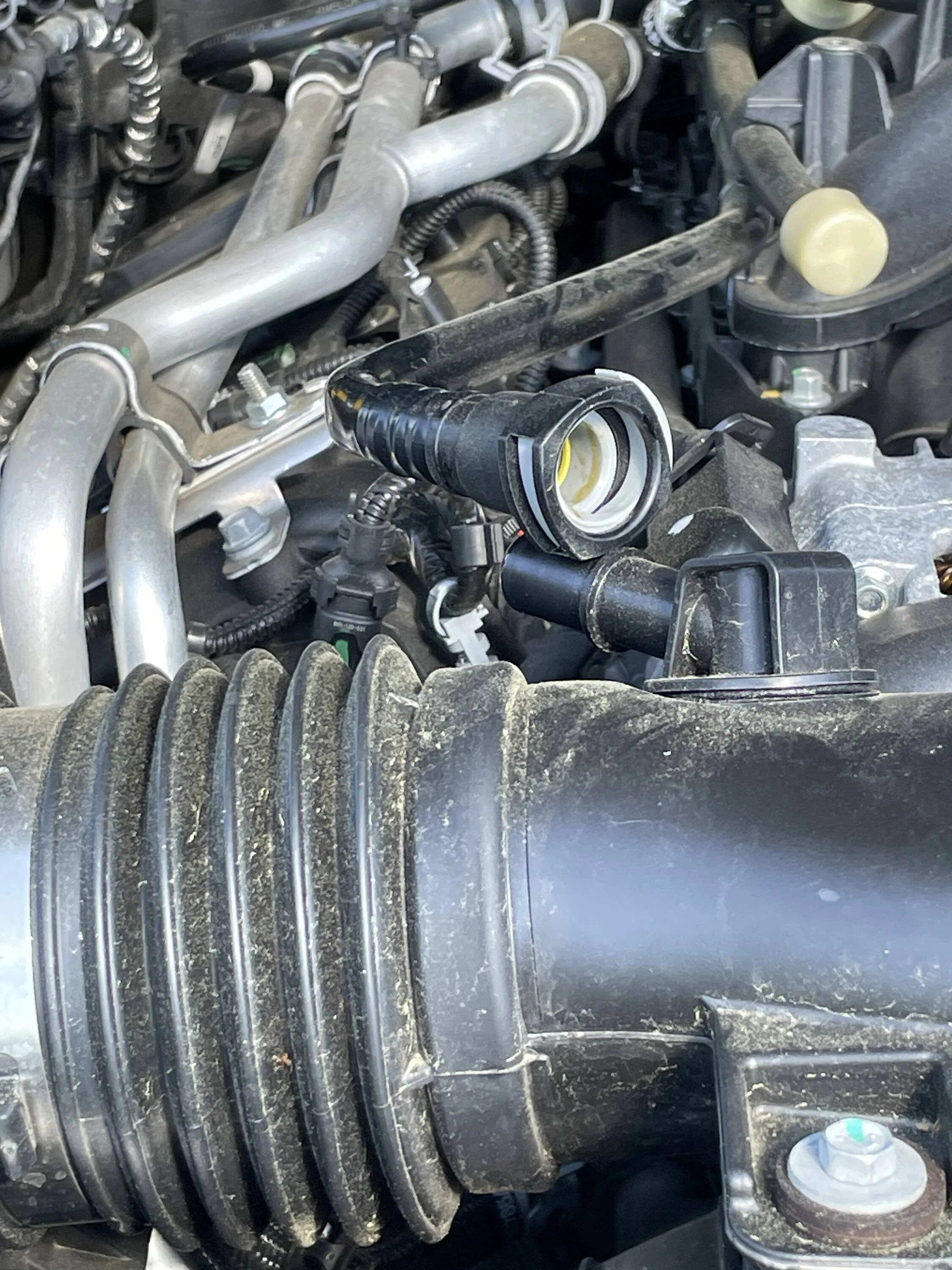 Jeep Gladiator Oil in PCV make up air tube IMG_3942