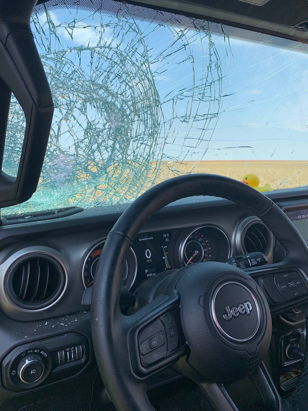 Jeep Gladiator What did you do TO your Gladiator today? [ADMIN WARNING: NO POLITICS, NO GUN TALK] 3B78101C-6234-44CA-B638-3F01301FA2A7