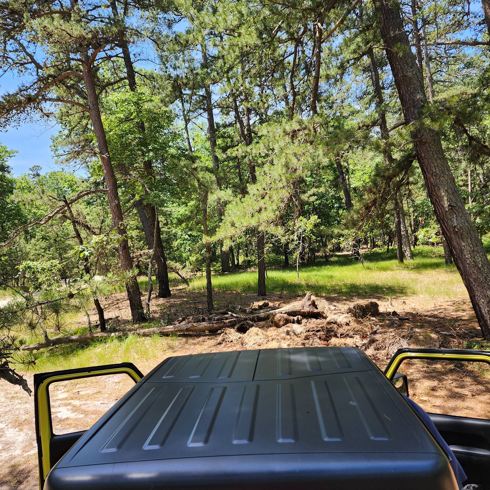 Jeep Gladiator What did you WINCH with your Gladiator today? 1000010570