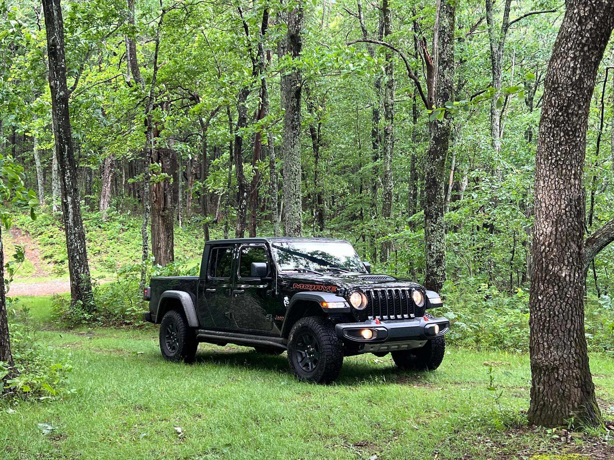 Jeep Gladiator What did you do WITH your Gladiator today? IMG_5843