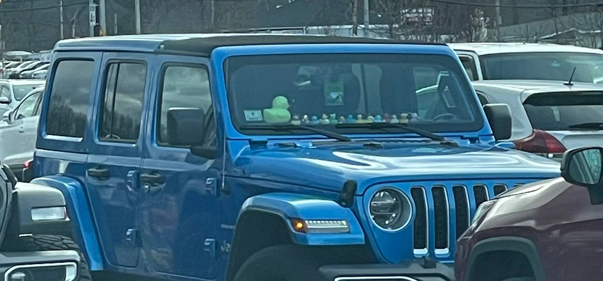 Jeep Gladiator No Ducks For Me(Beware, rant/negative duck comments) IMG_5255