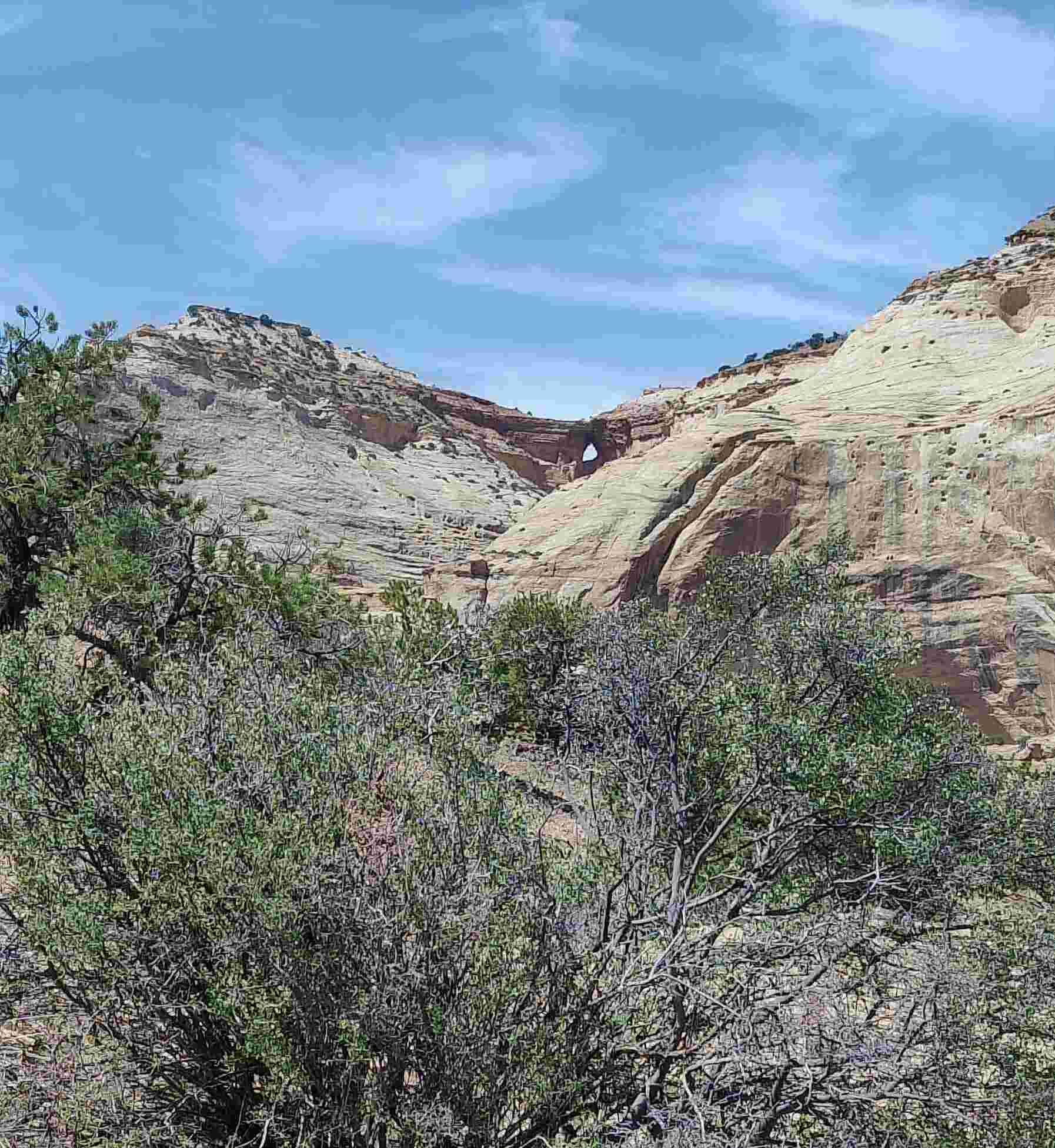 Jeep Gladiator Red Rock 4-Wheelers Trail of the Month June 2024 3LL