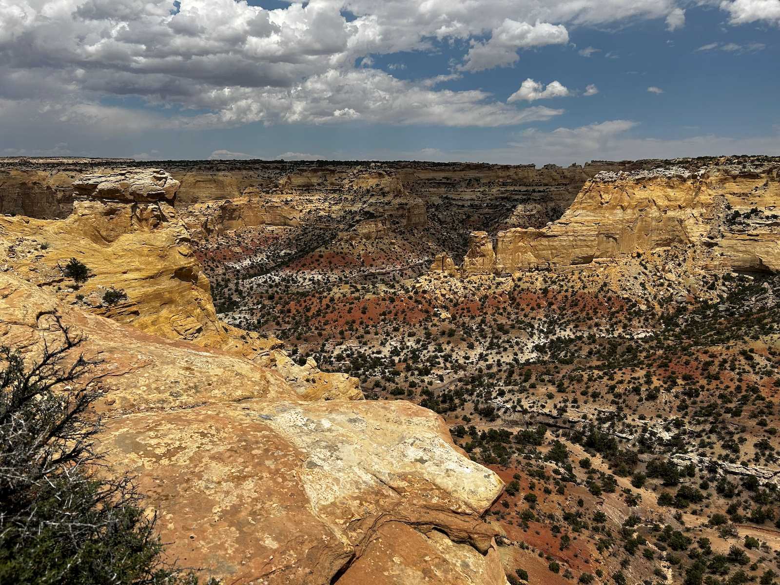 Jeep Gladiator Red Rock 4-Wheelers Trail of the Month June 2024 10L