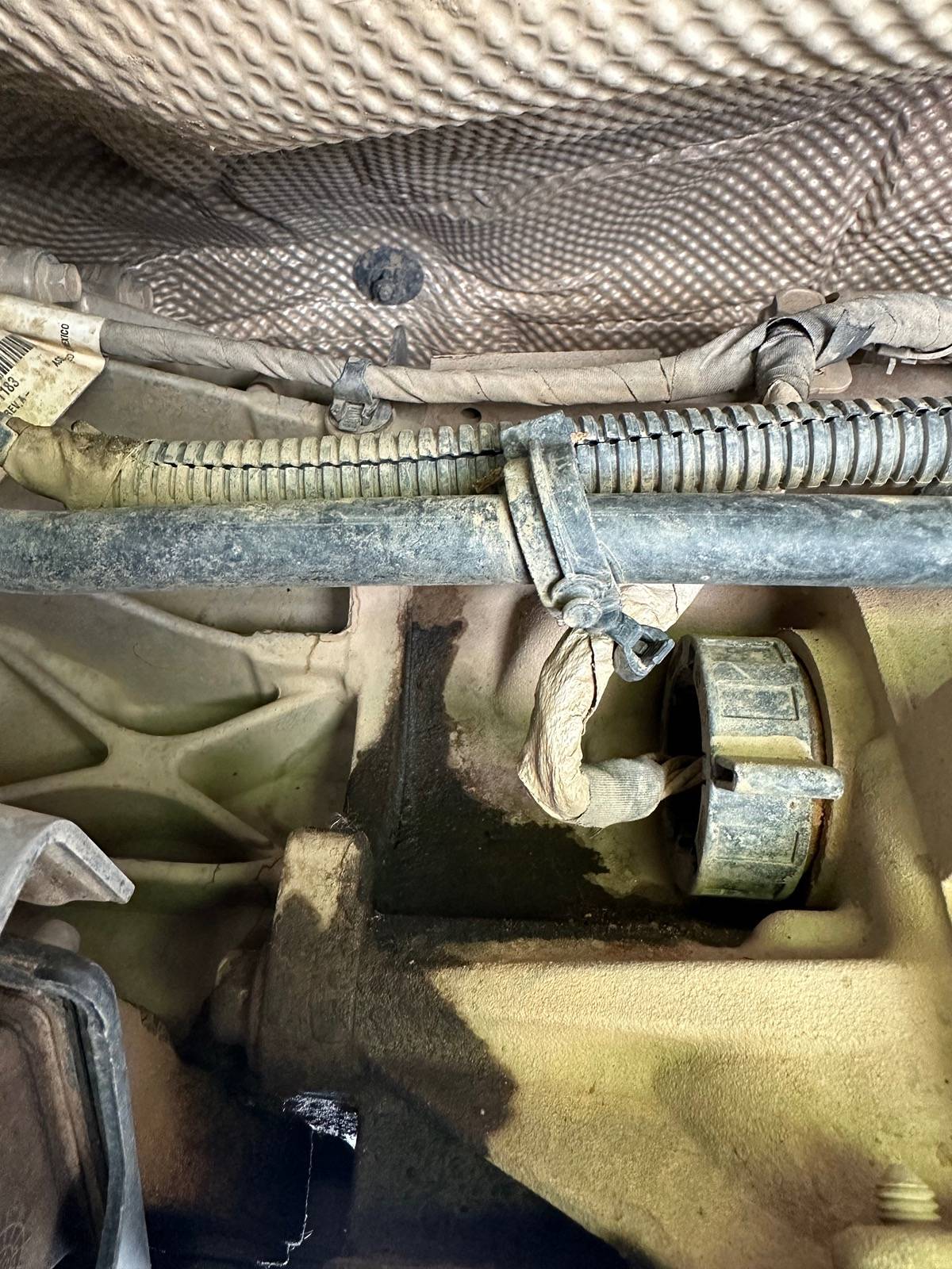 Jeep Gladiator Possible Tramsmission Pan Leak IMG_9414