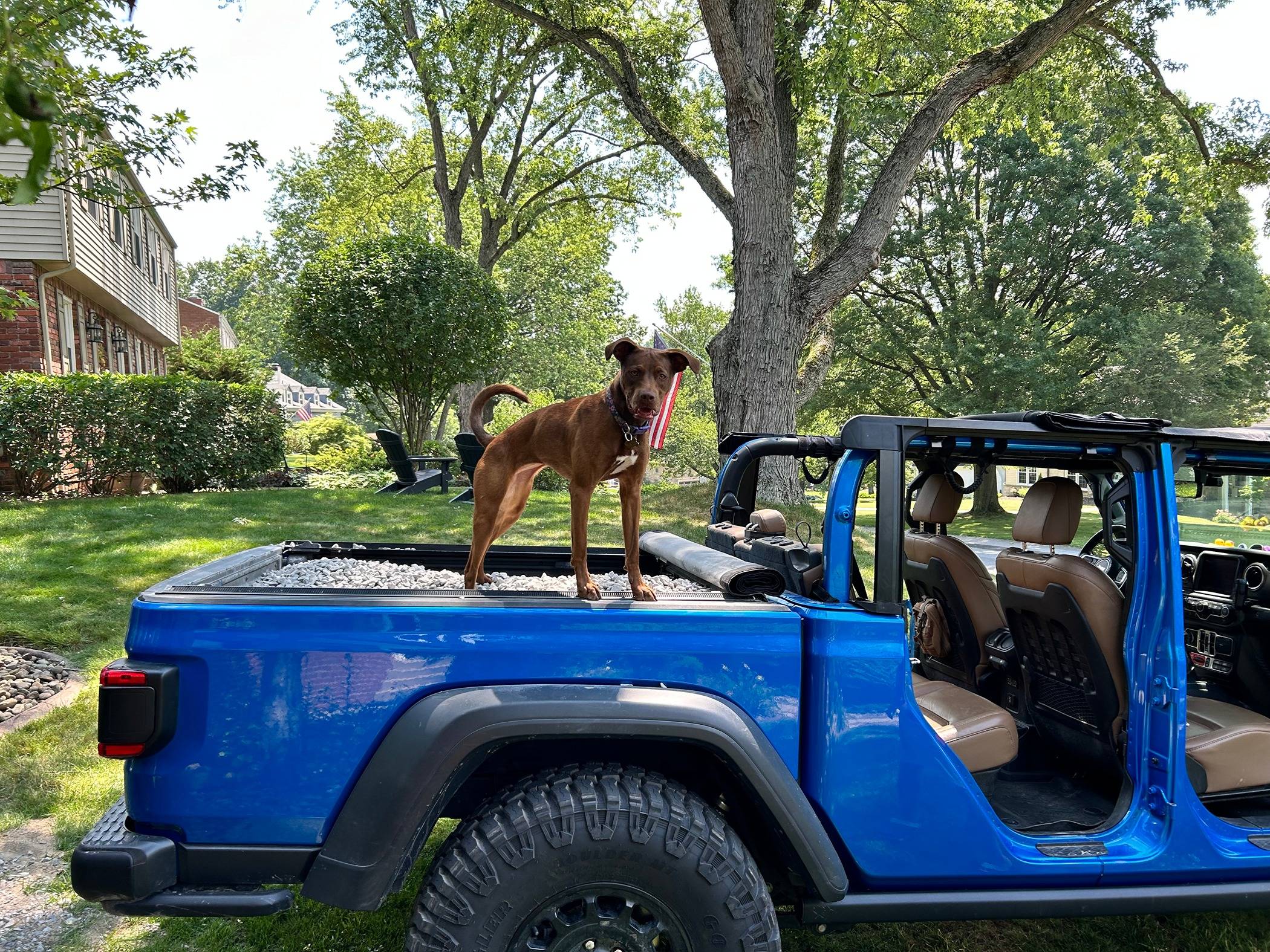 Jeep Gladiator Hydro Blue JTR 6spd Build Thread IMG_0091
