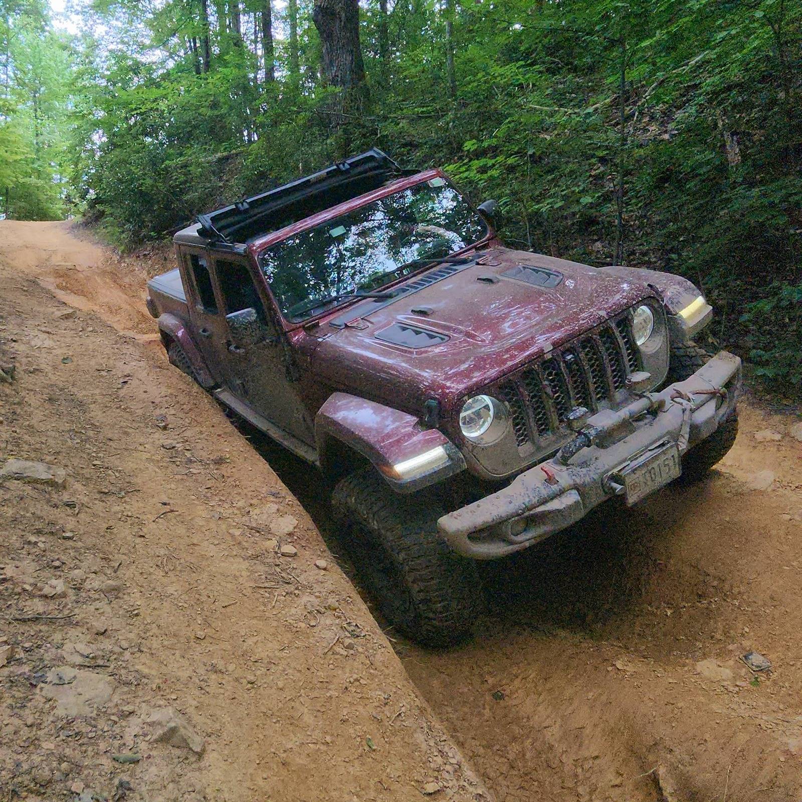 Jeep Gladiator What did you do WITH your Gladiator today? 20240618_134139
