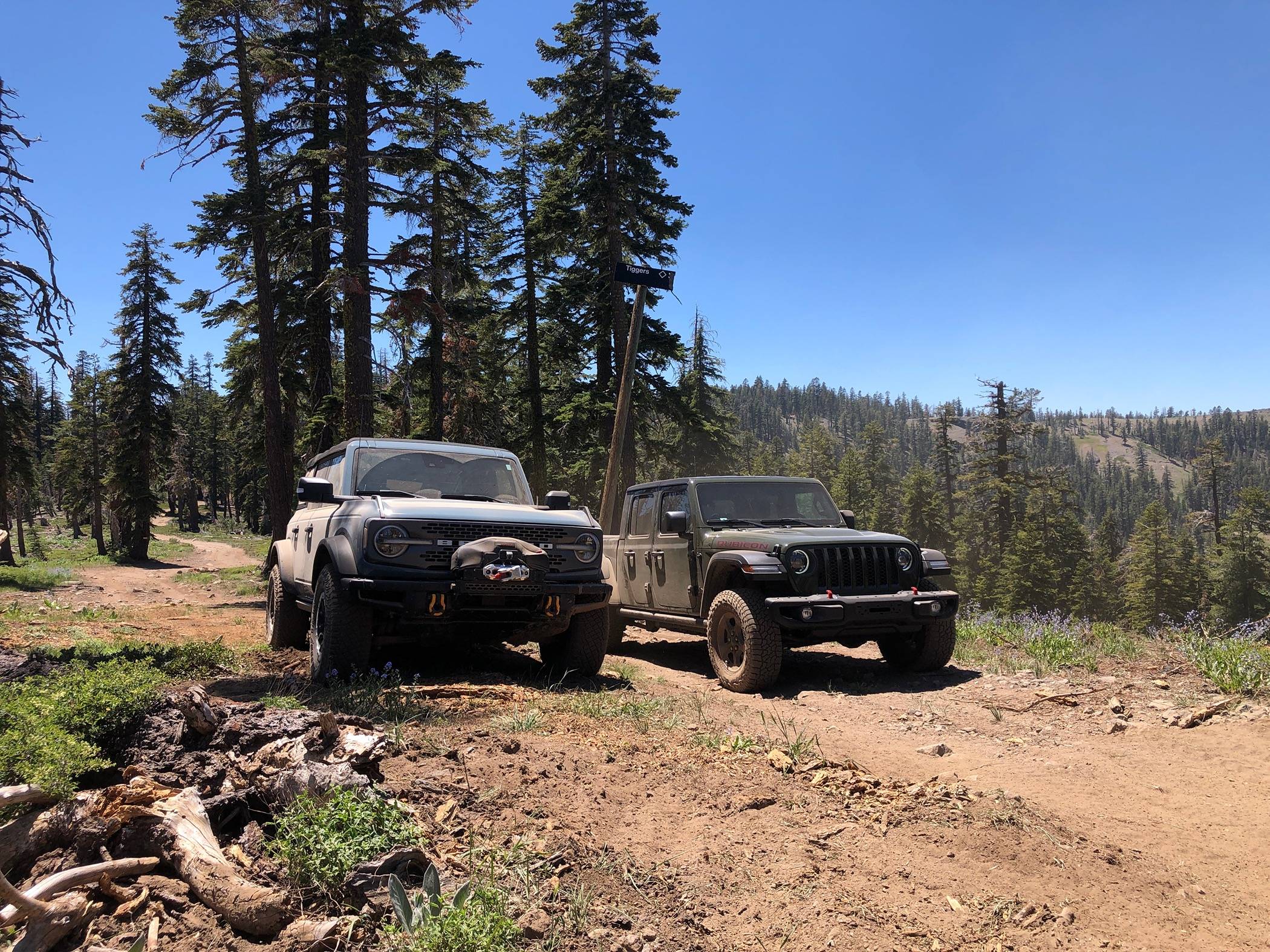 Jeep Gladiator Less than 300 miles on the odometer and already hitting the dirt! 47A733AA-B523-495B-877B-430EA55E3510