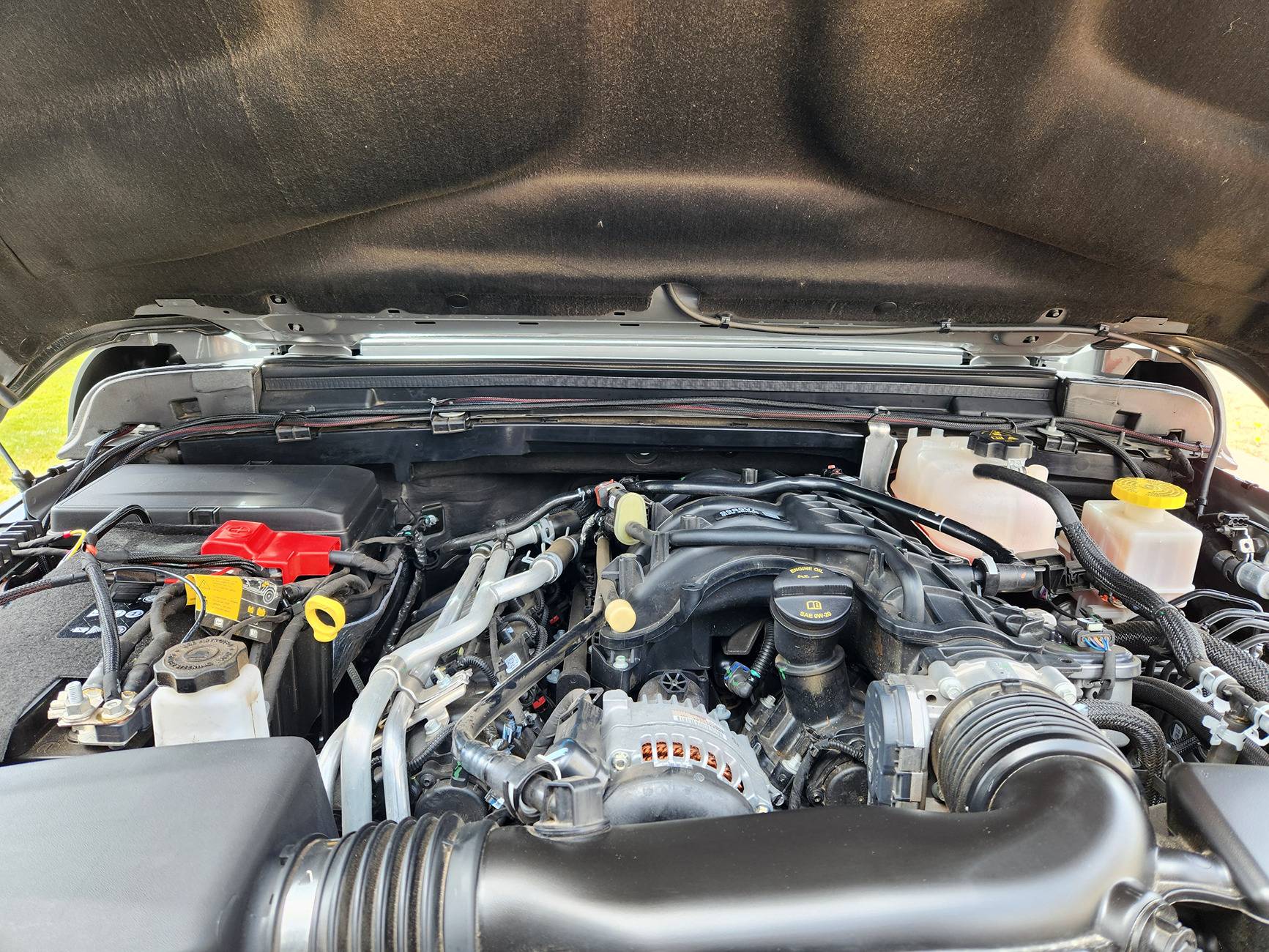 Jeep Gladiator What did you do TO your Gladiator today? [ADMIN WARNING: NO POLITICS, NO GUN TALK] 20240629_125406