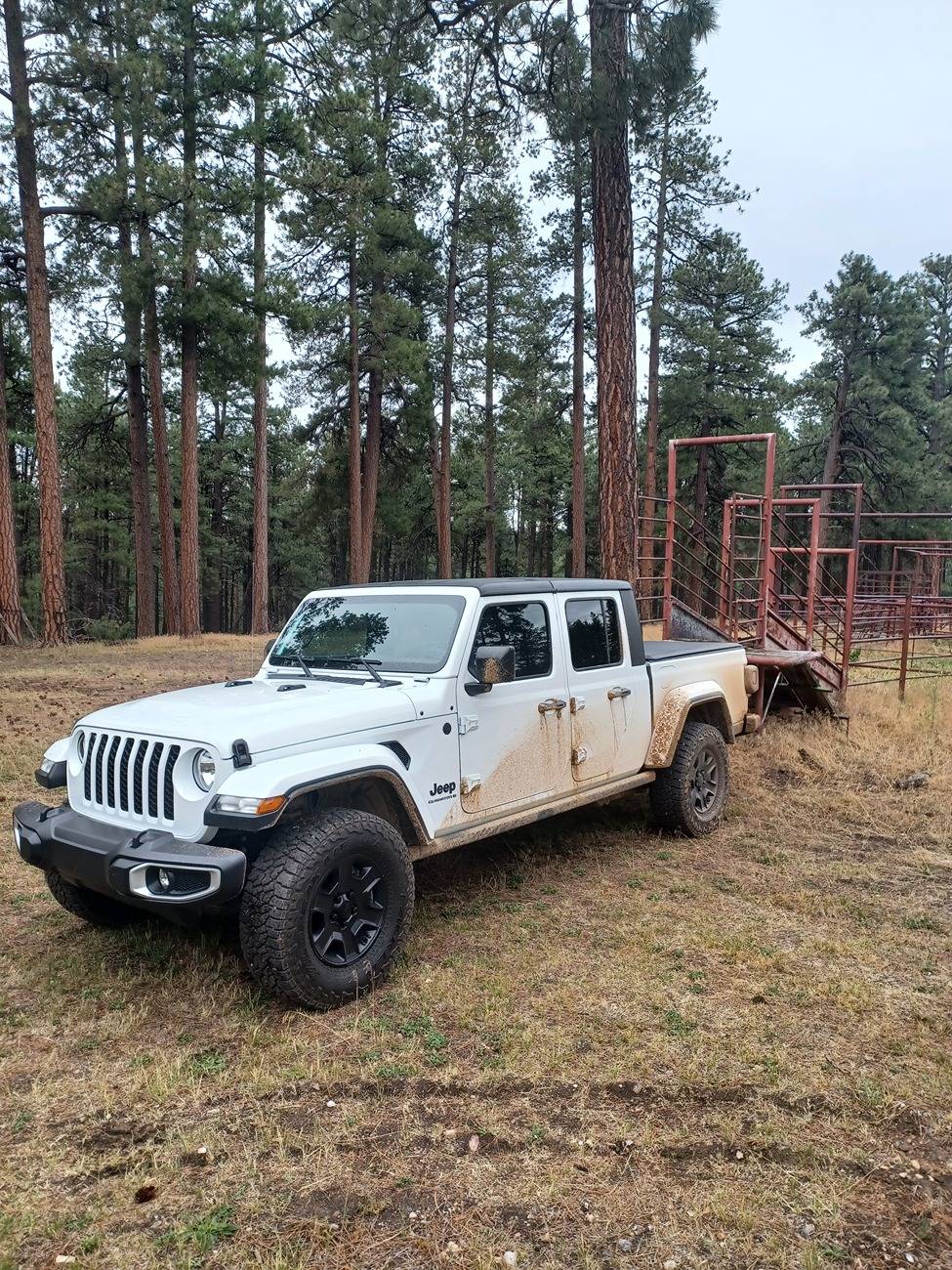 Jeep Gladiator Where did you WHEEL your Gladiator today? 20240701_104334