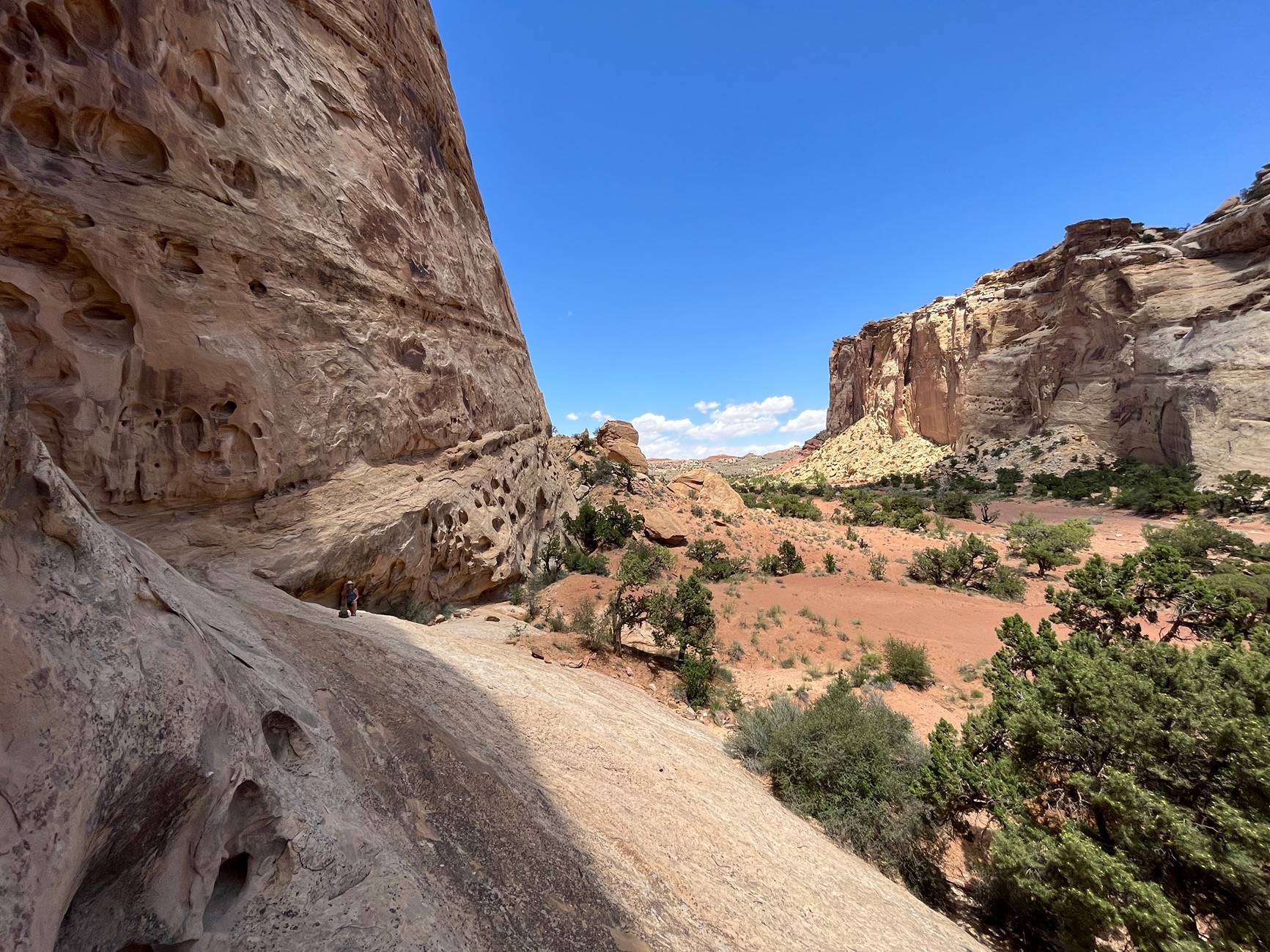 Jeep Gladiator Red Rock 4-Wheelers Trail of the Month June 2024 IMG_6488
