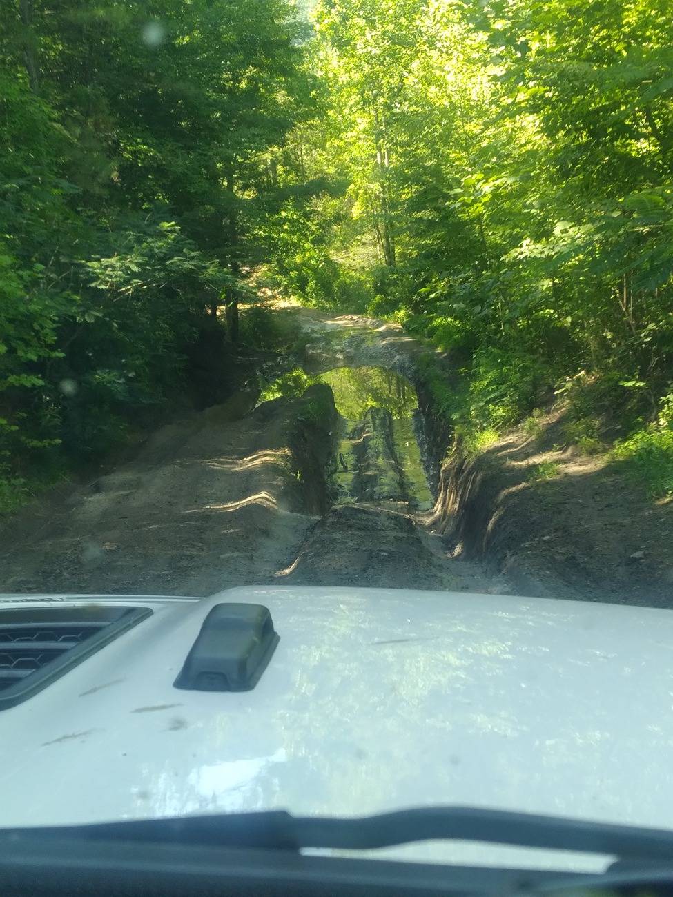 Jeep Gladiator What did you do TO your Gladiator today? [ADMIN WARNING: NO POLITICS, NO GUN TALK] 20240706_161427
