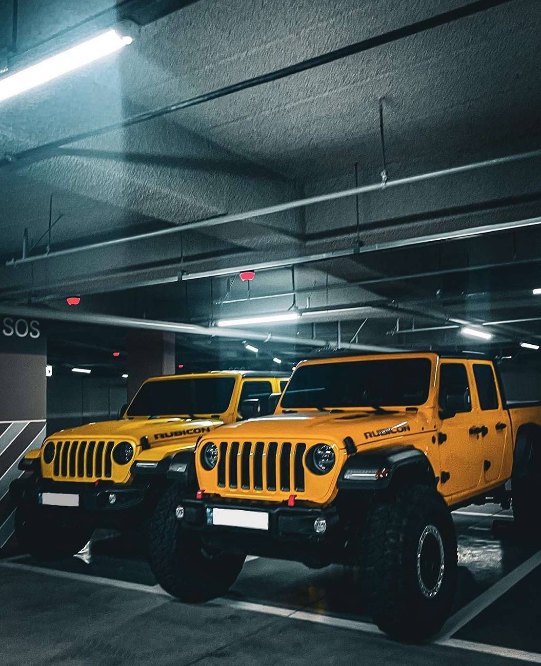 Jeep Gladiator Jeeps Parking Next To Jeeps IMG_1865