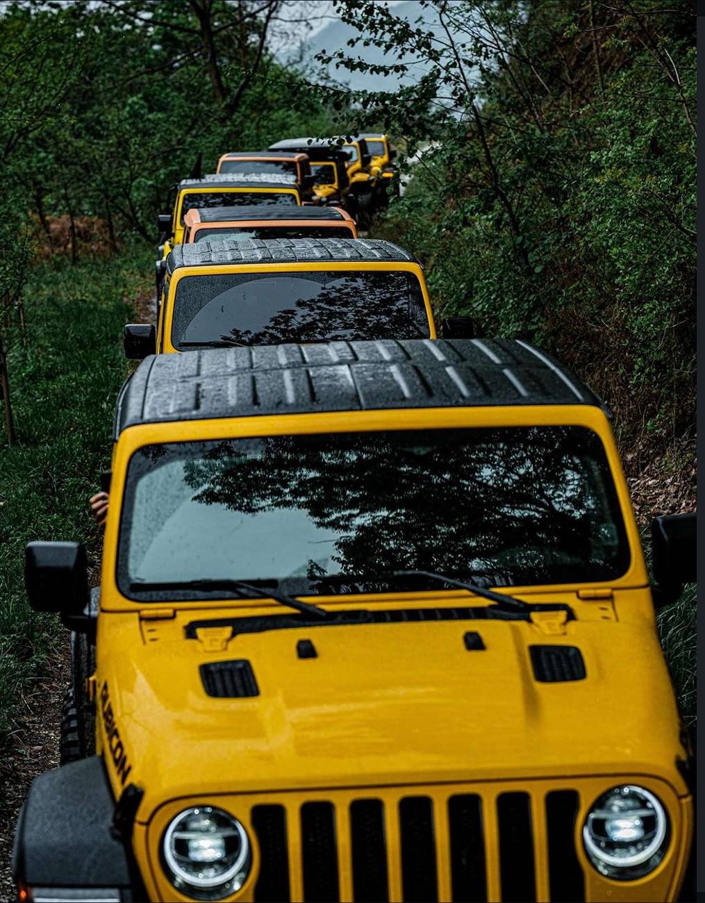 Jeep Gladiator Jeeps Parking Next To Jeeps IMG_1858