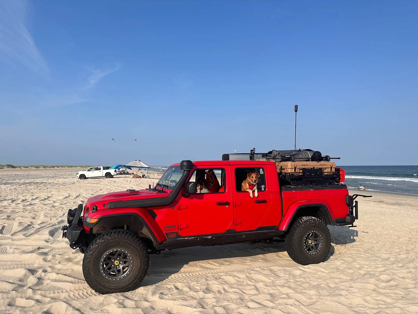 Jeep Gladiator What did you do TO your Gladiator today? [ADMIN WARNING: NO POLITICS, NO GUN TALK] IMG_2093
