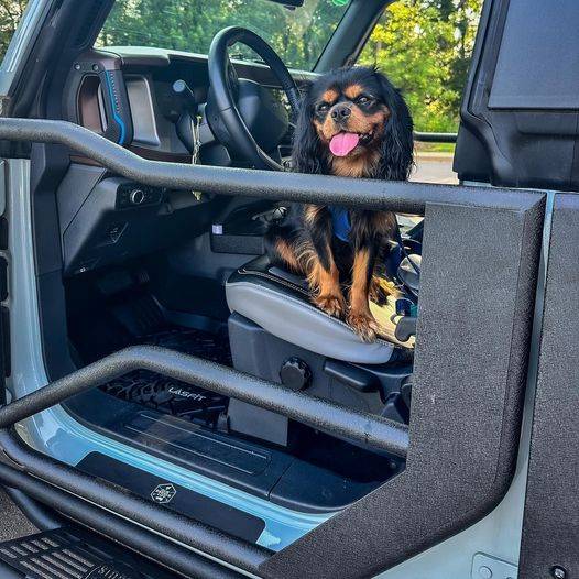 hooke road accessories with pets pics.jpg
