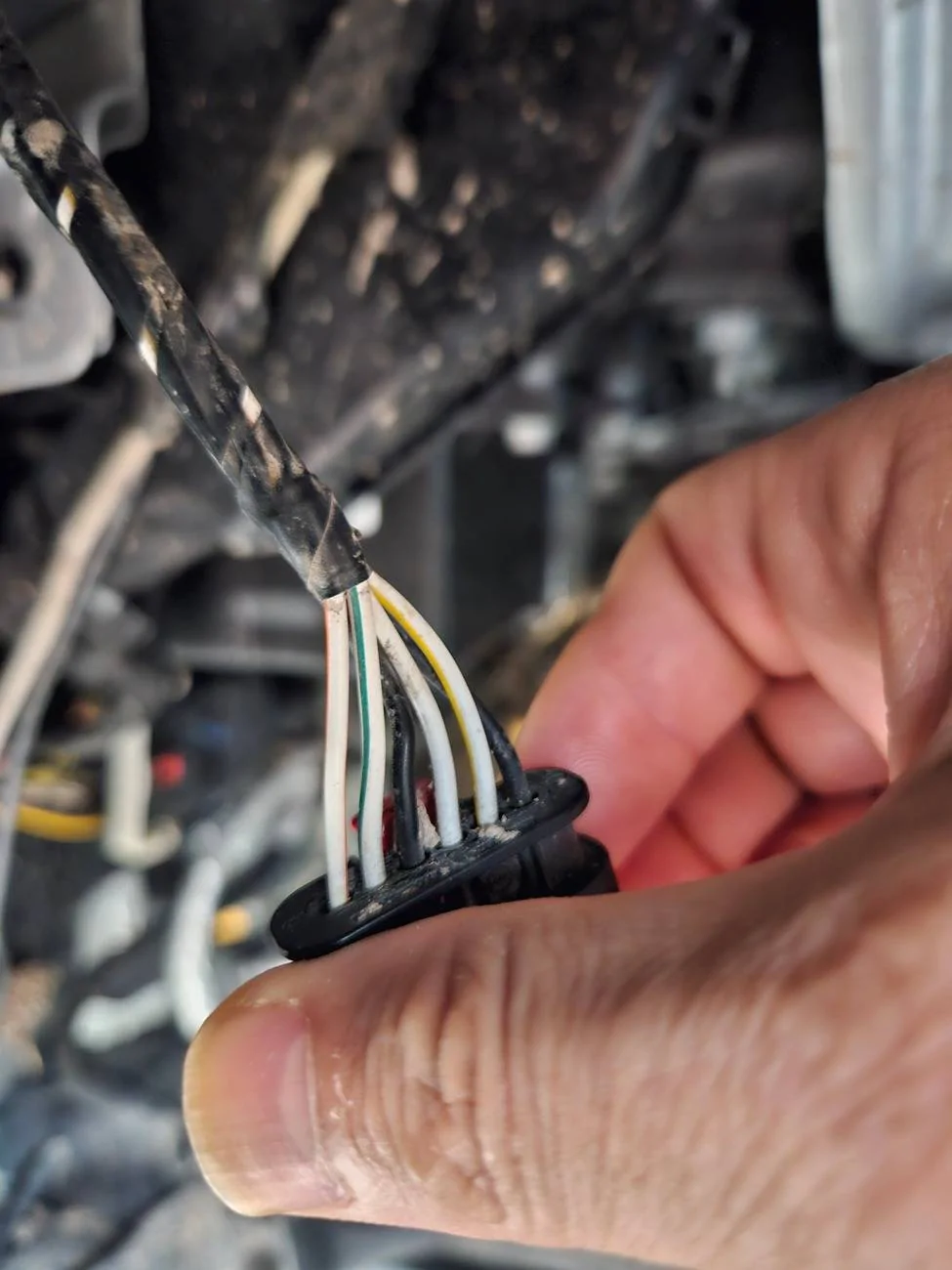 Jeep Gladiator Help with wiring / HookeRoad fender flares. 1000008563