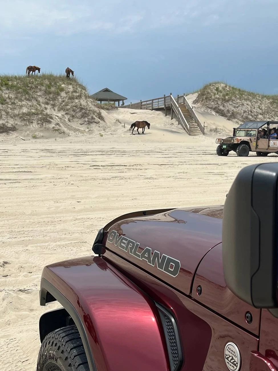 Jeep Gladiator We're in a Beachy Mood!!! Show us your Rig on Sand! IMG_1217