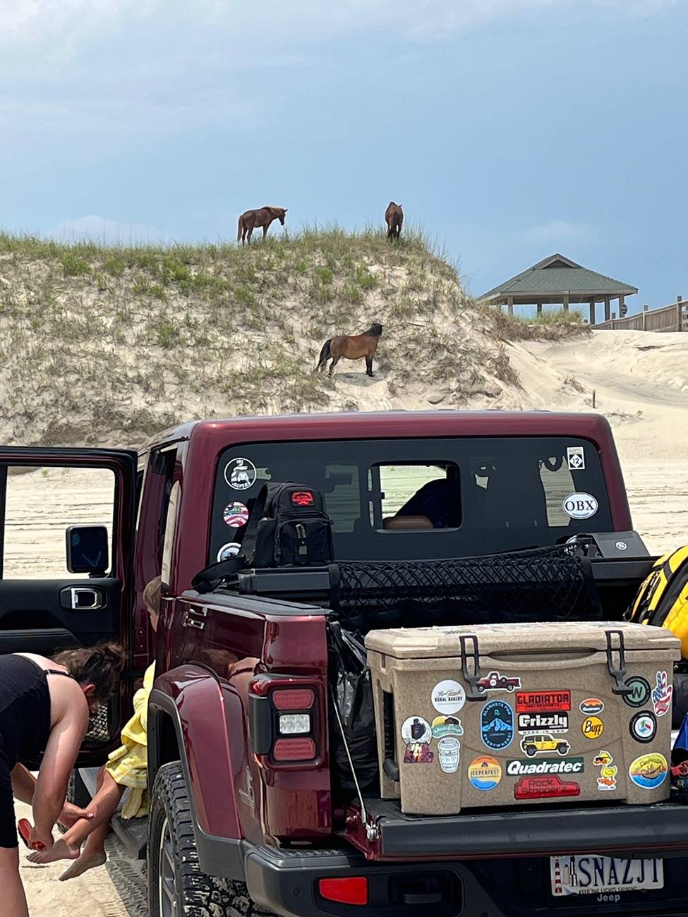 Jeep Gladiator We're in a Beachy Mood!!! Show us your Rig on Sand! IMG_1215