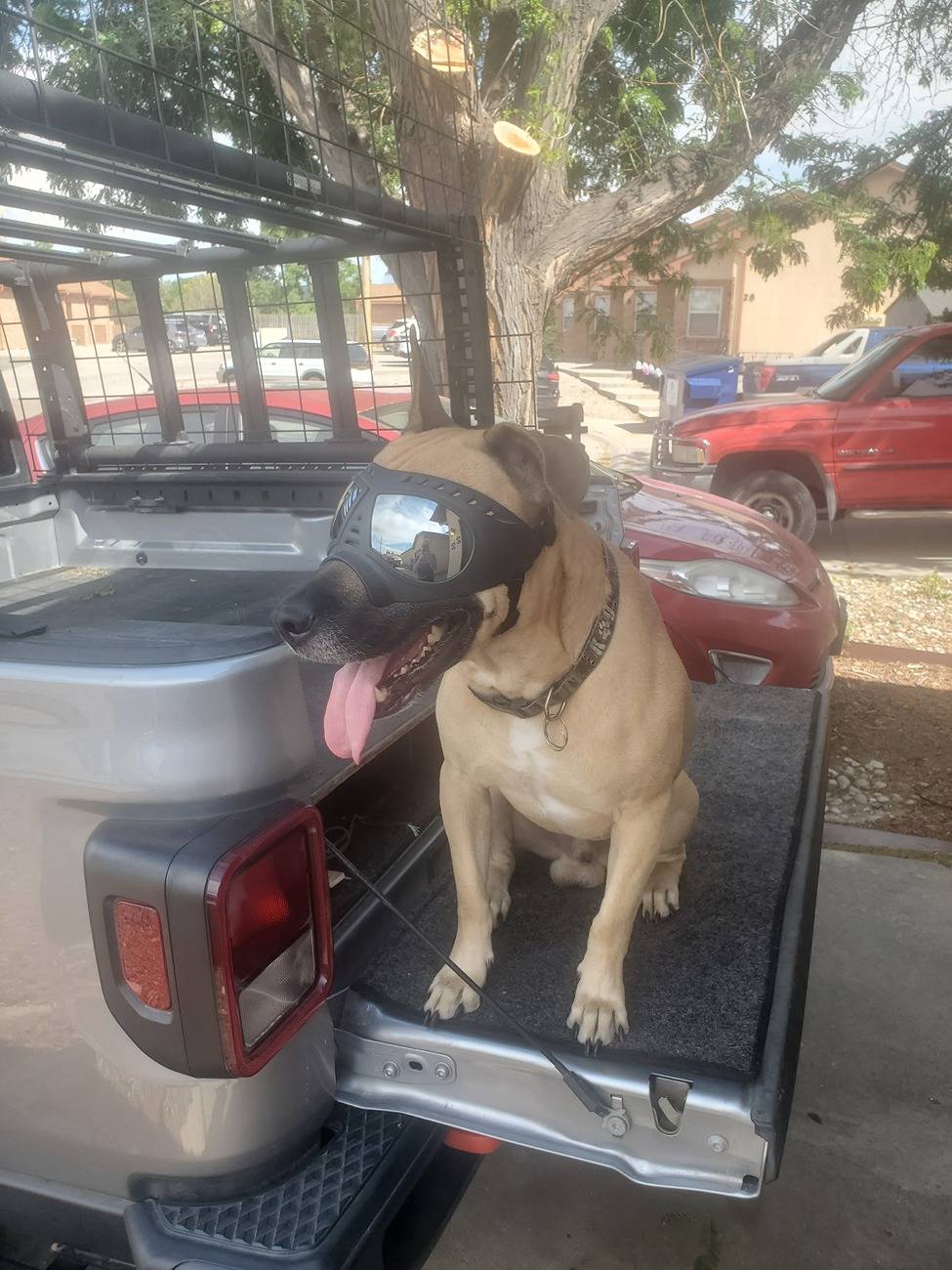Jeep Gladiator Custom built truck bed drawers <$500 20240529_154953