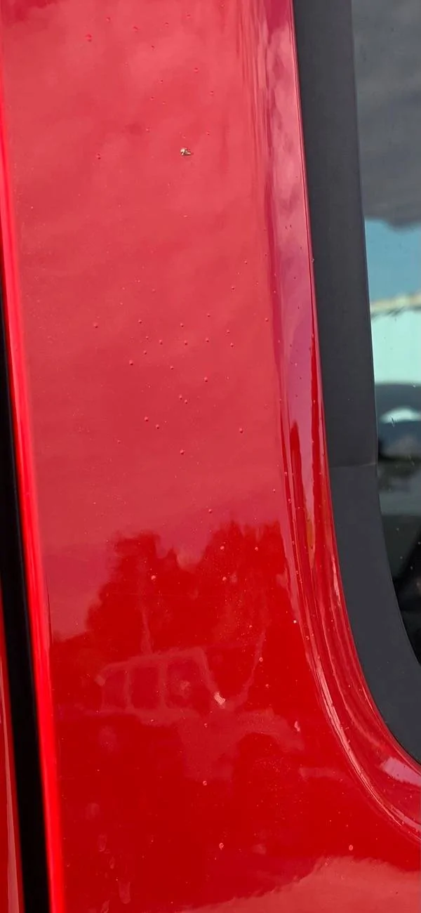 Jeep Gladiator Paint warranty? IMG_2468