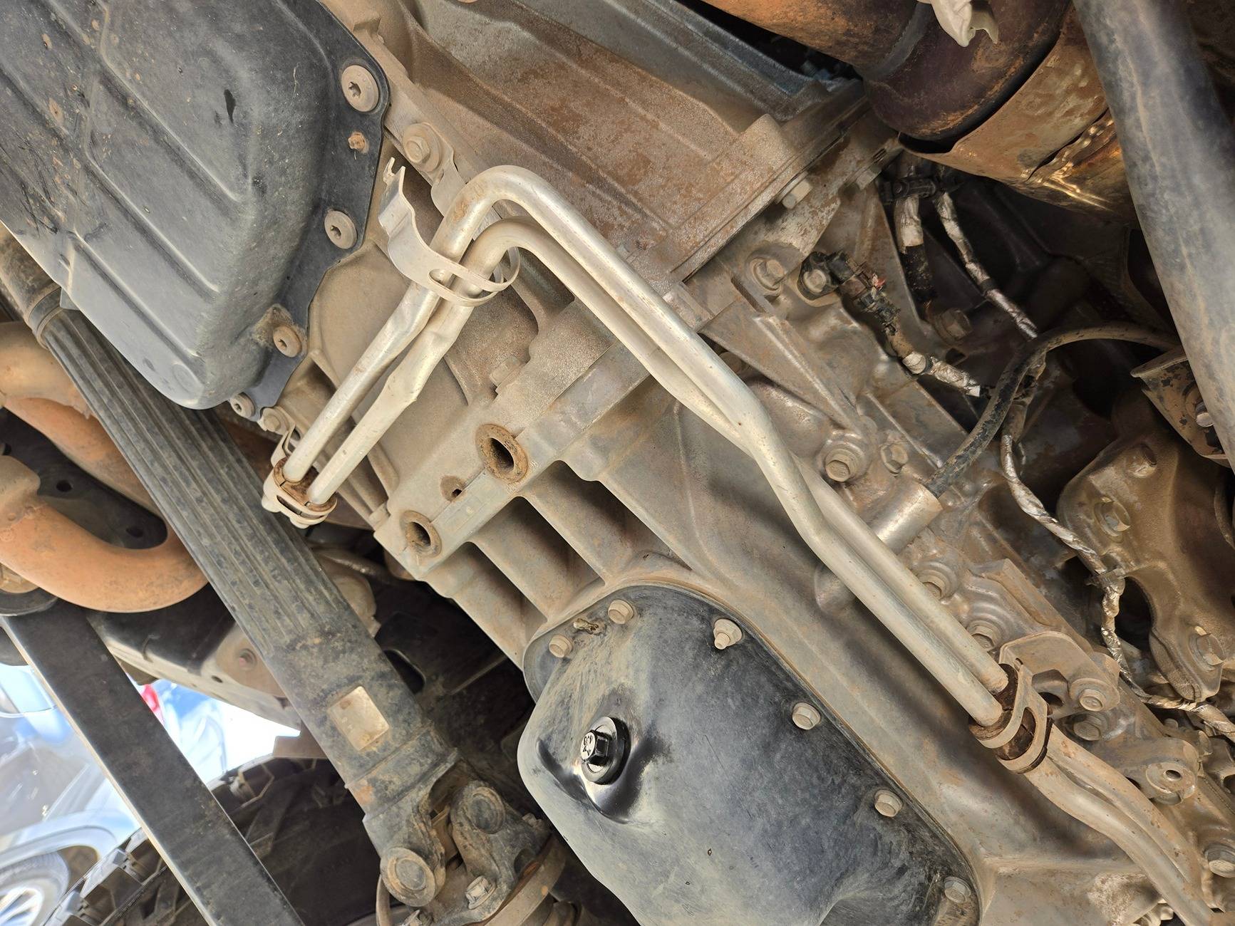 Jeep Gladiator What did you do TO your Gladiator today? [ADMIN WARNING: NO POLITICS, NO GUN TALK] 20240811_111135