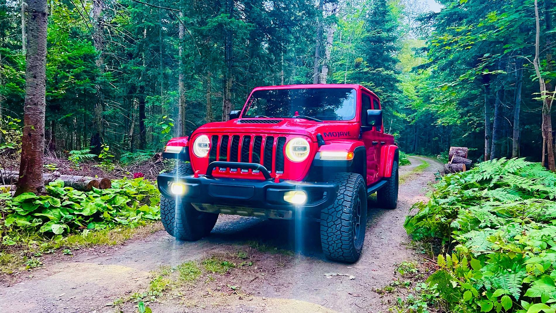 Jeep Gladiator Gladiator Glamour Shots IMG_6927
